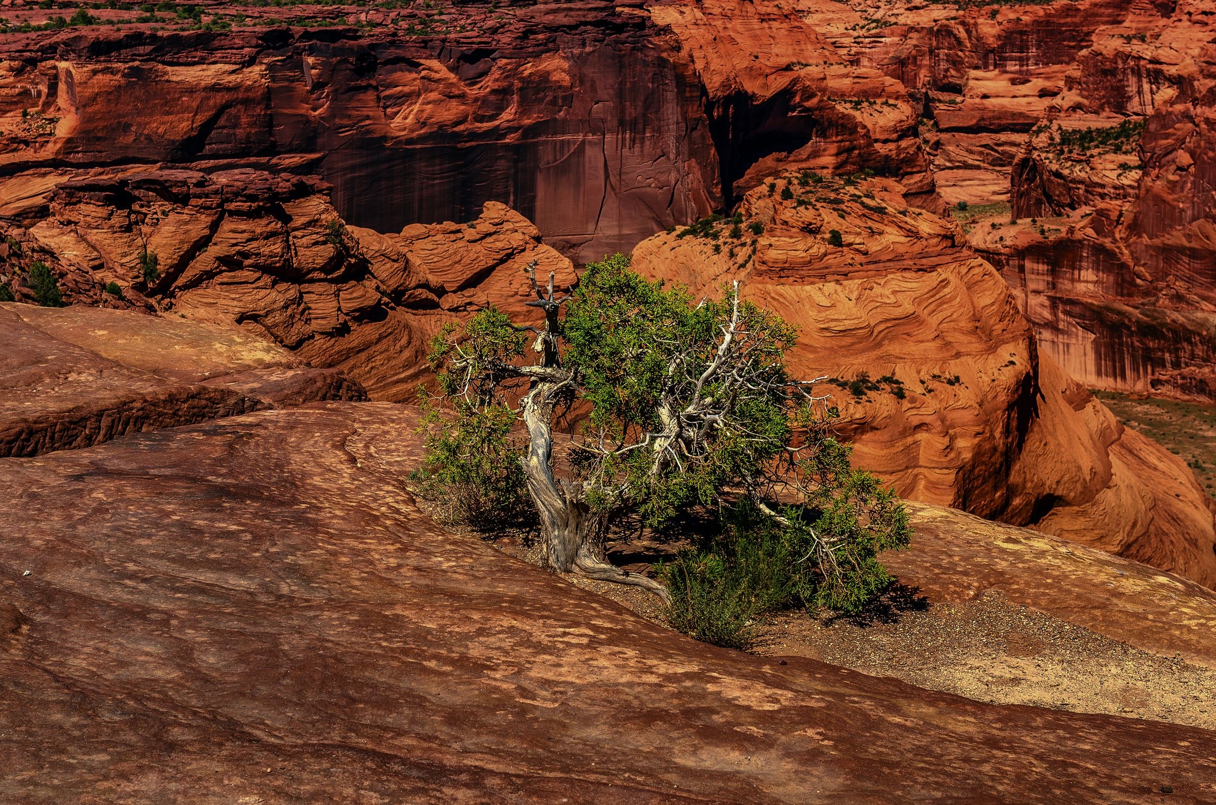 USA - Canyon de Chelly