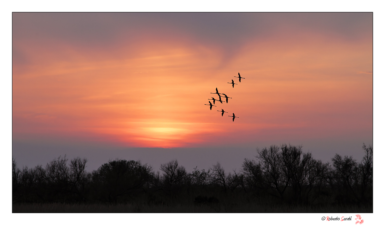 Tramonto in Camargue