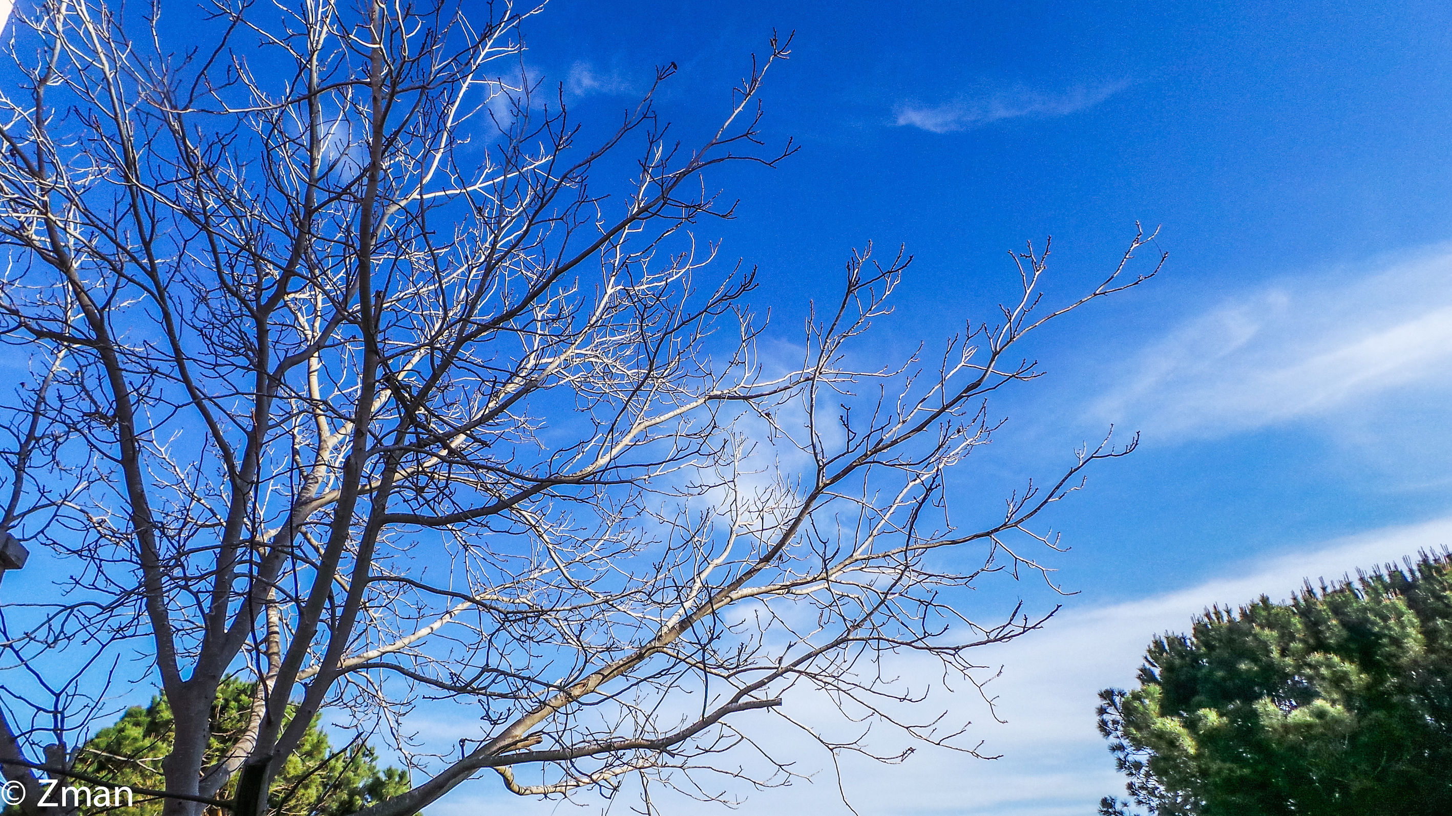 Blue Skies The start of Spring