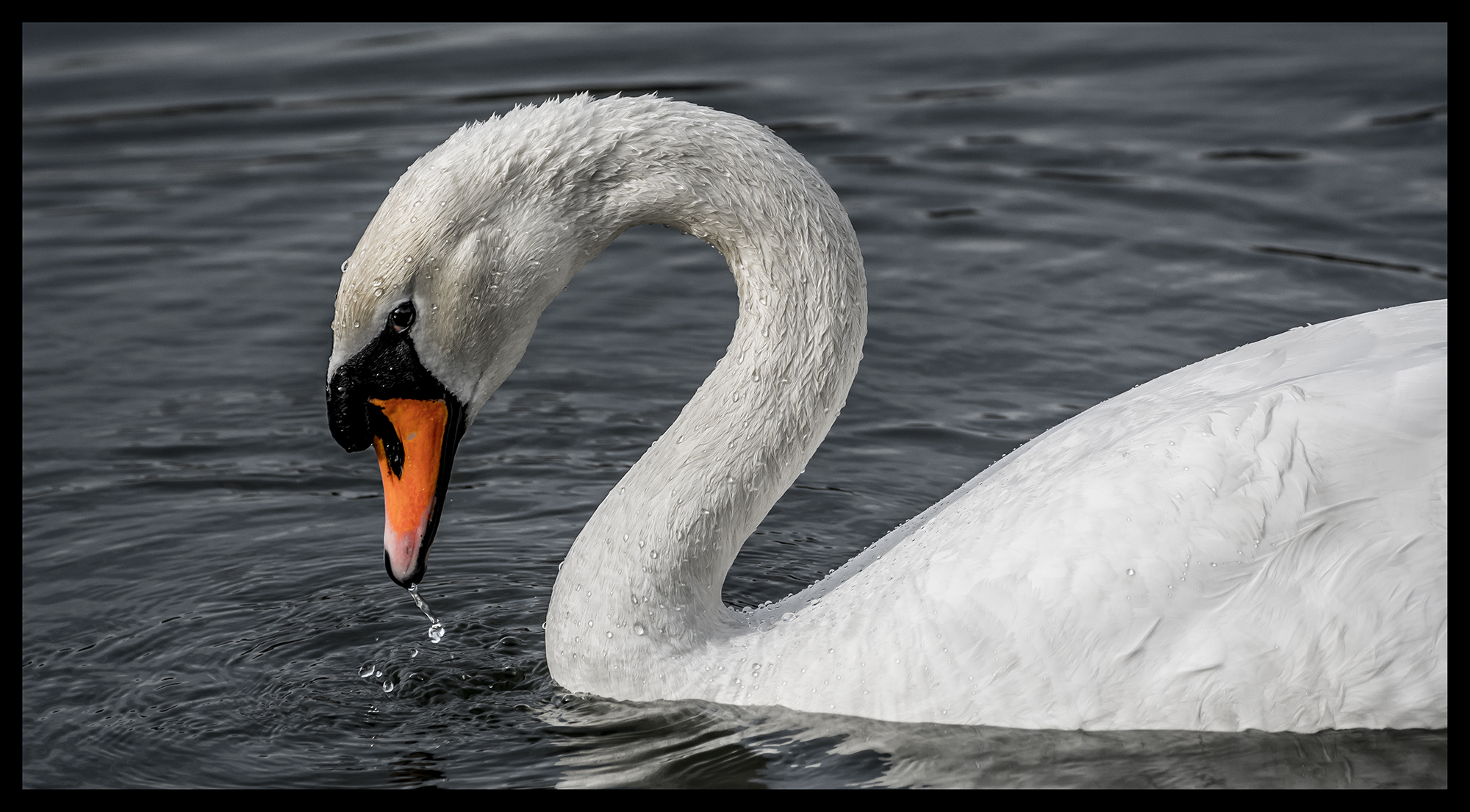 Poco prima di soffiarmi e di farmi fuggire altrove