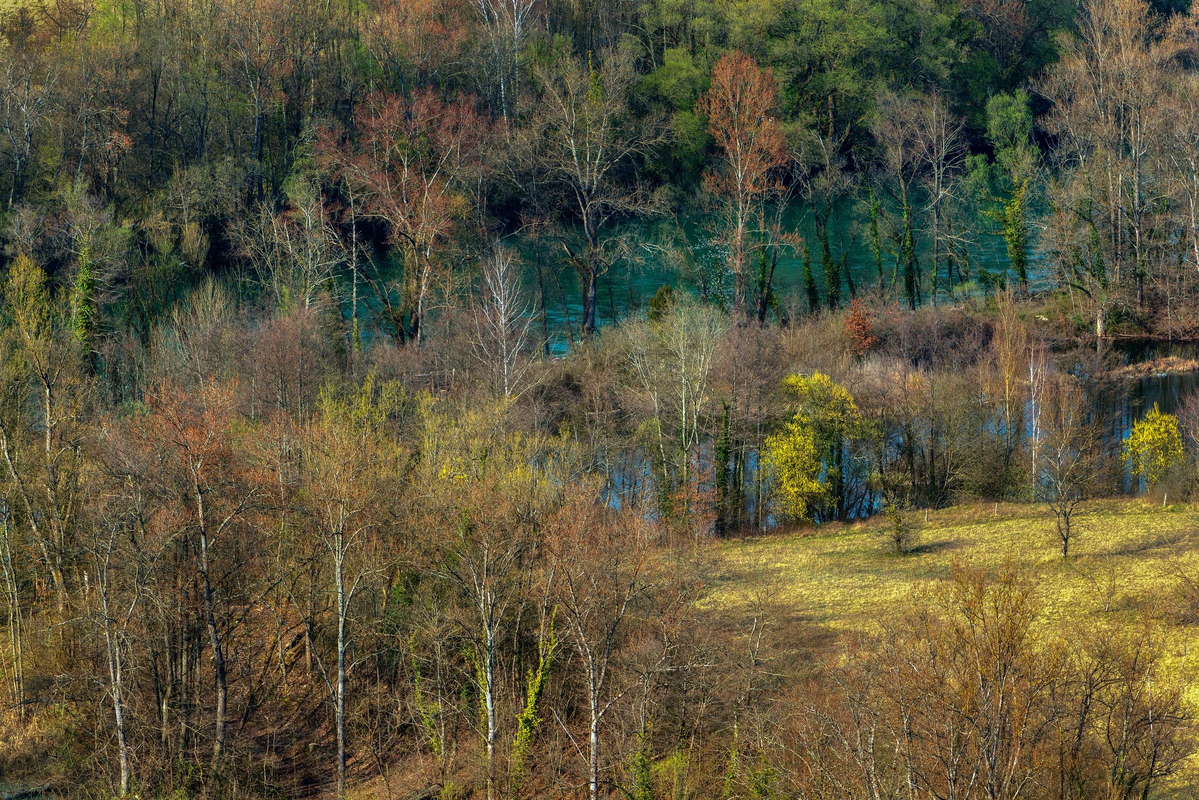 Spring is coming slowly