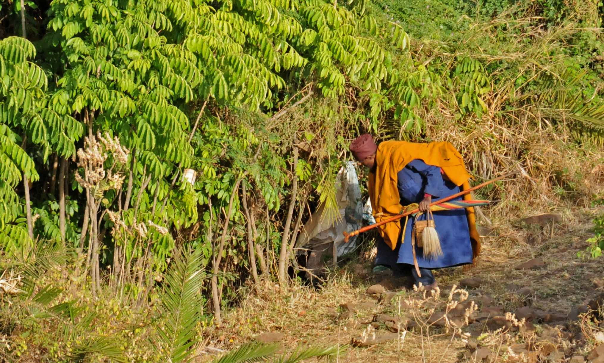 Eremita che sta entrando nel suo rifugio