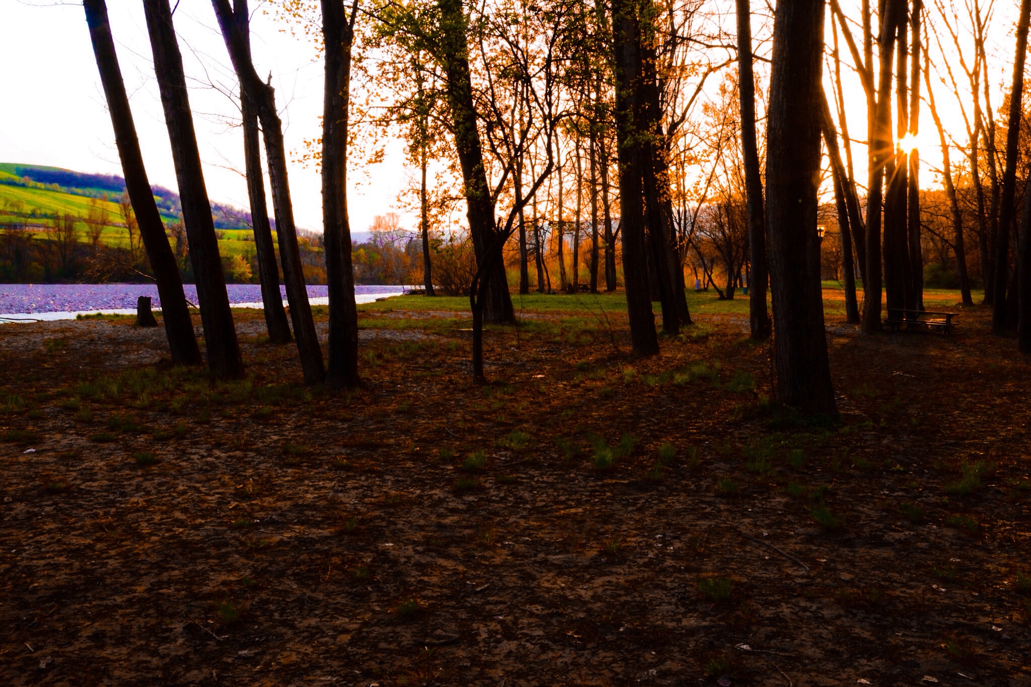 savignano sul panaro - parco -