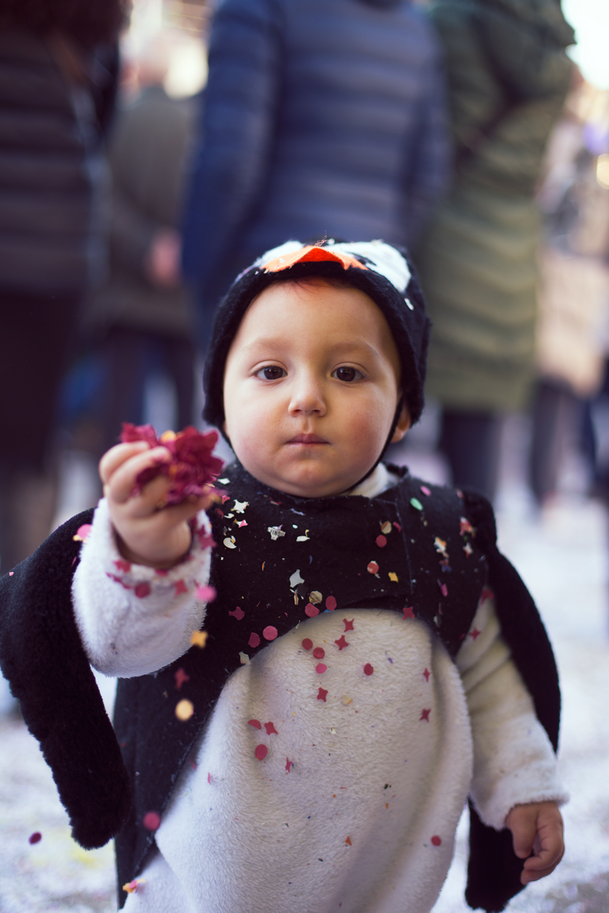 Un piccolo pinguino.