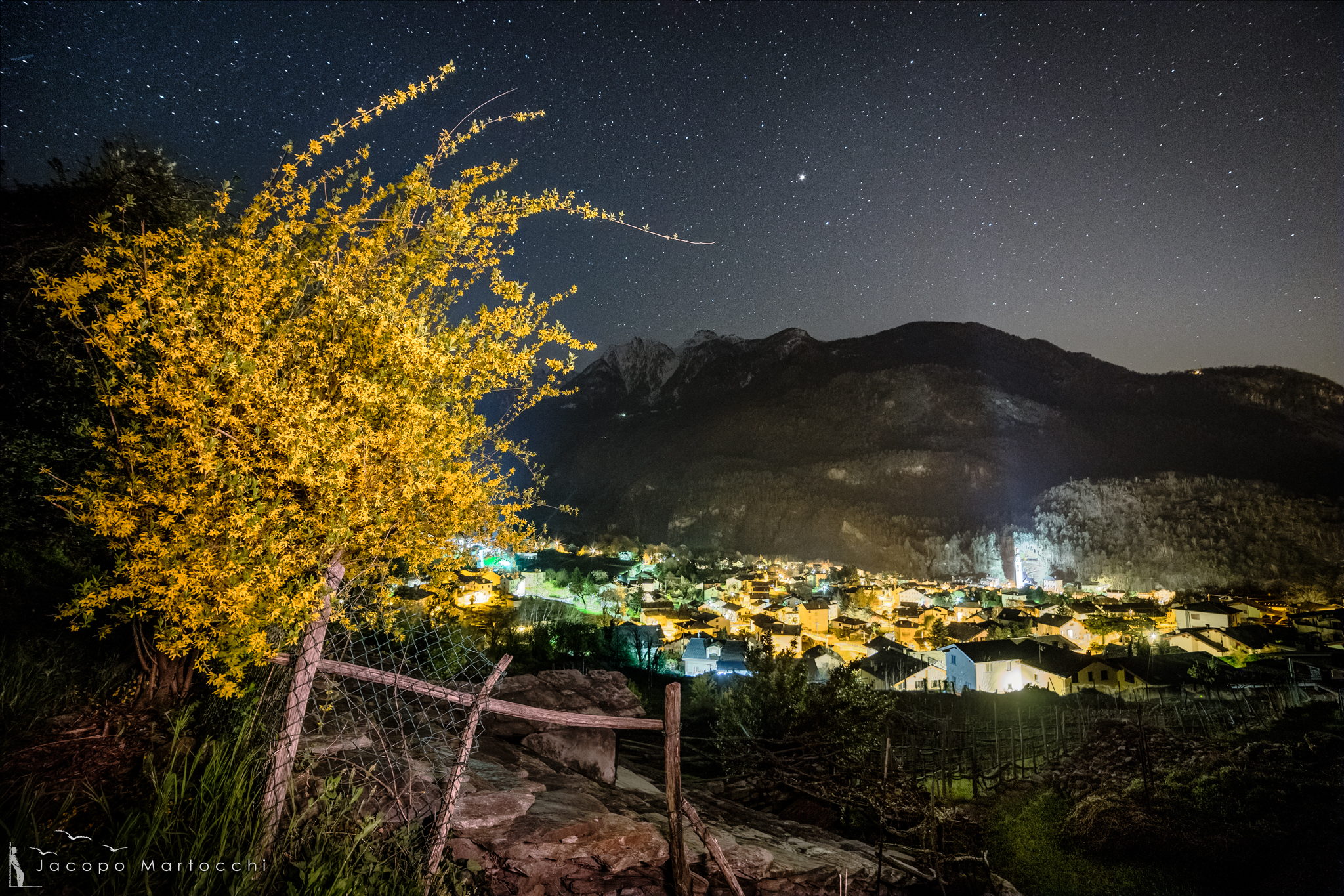 Flowers in the stars