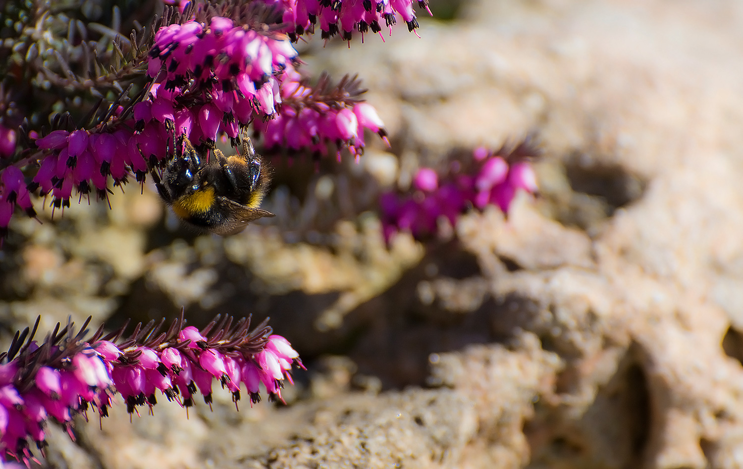 Sosta di rifornimento