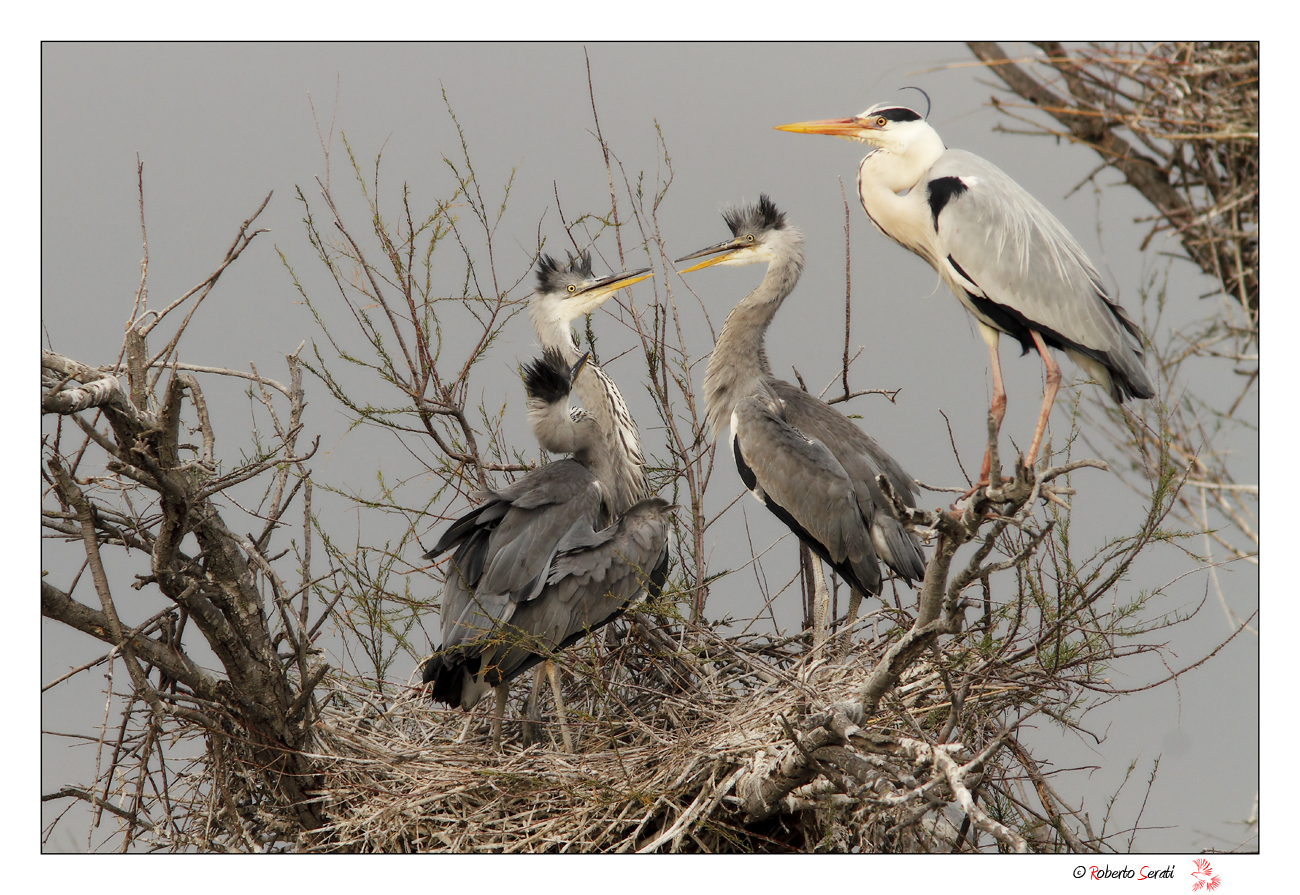 Ritratto di famiglia