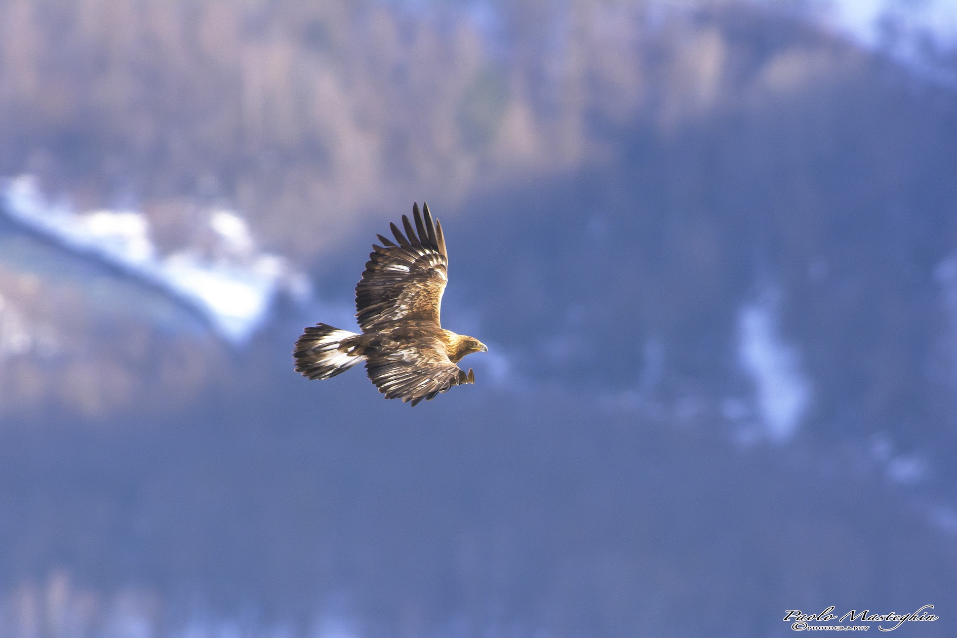 Nel caldo del pomeriggio....