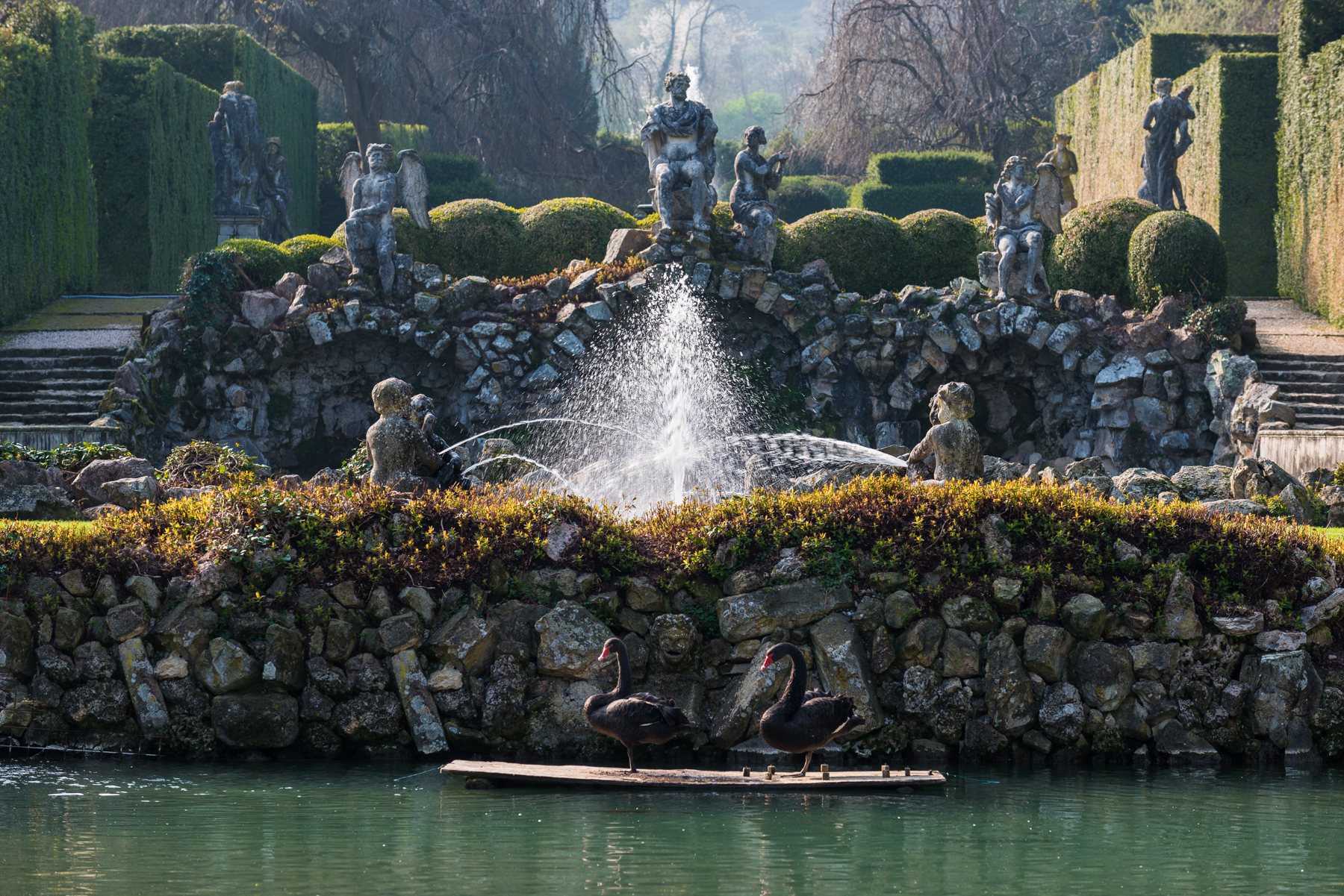 I cigni neri ed il Teatro dell'Acqua