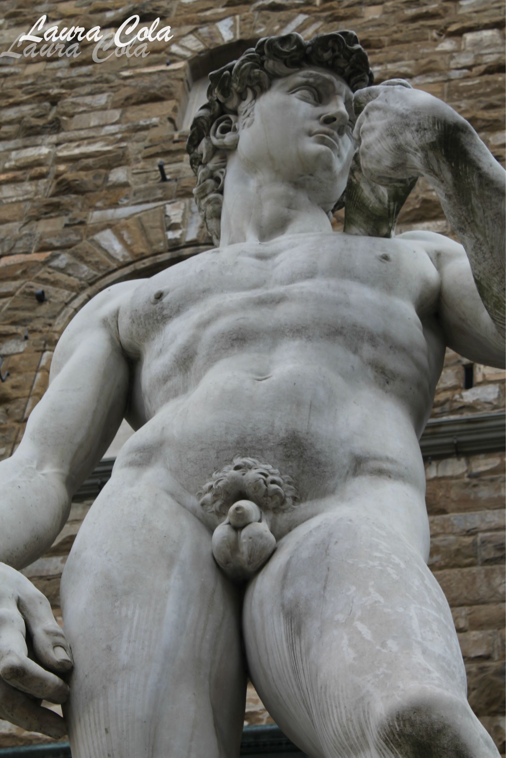 Michelangelo's David