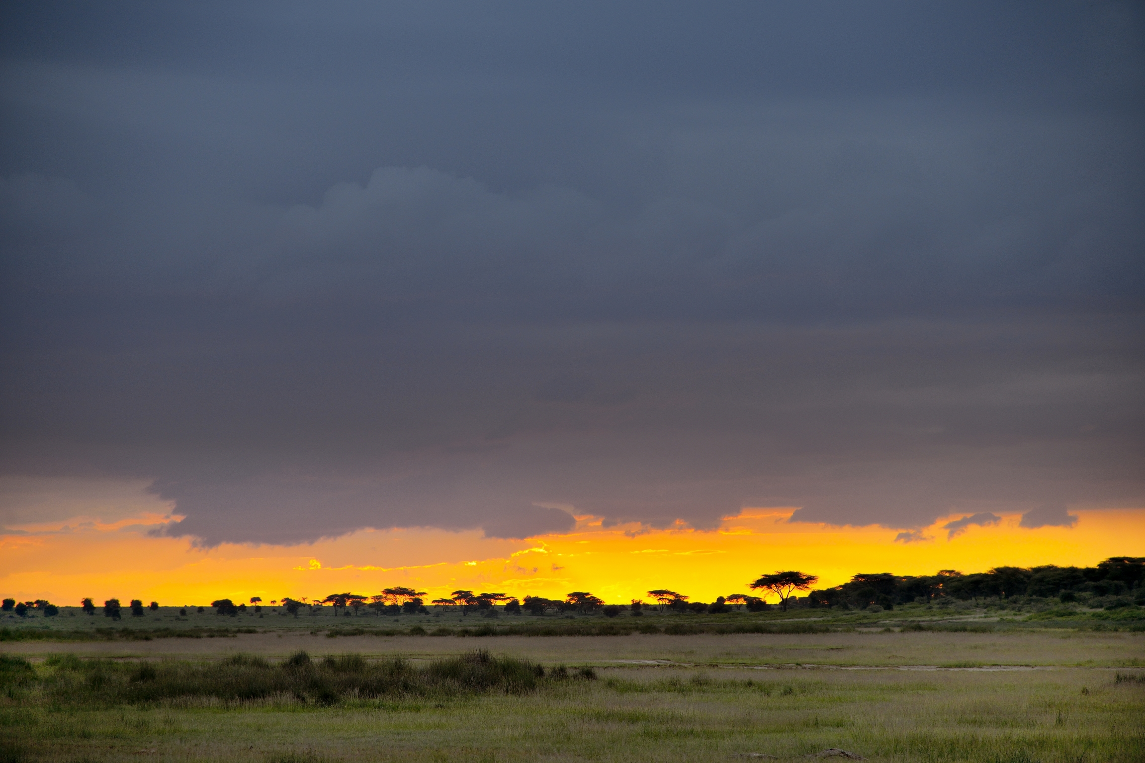 Ngorongoro Conservation Area - tramonto