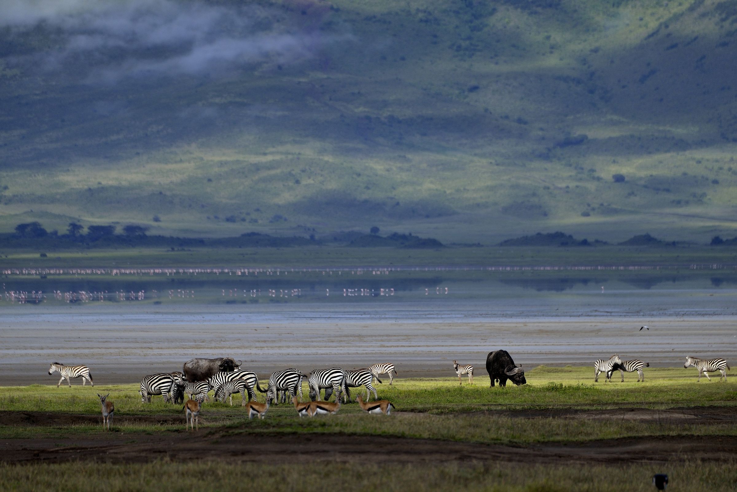 Ngorongoro crater