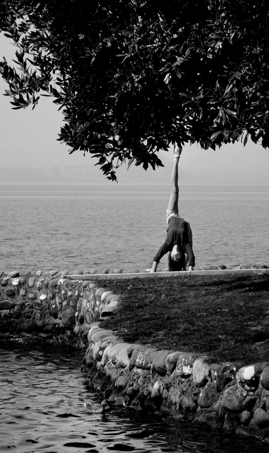 Metamorphosis: Dafne