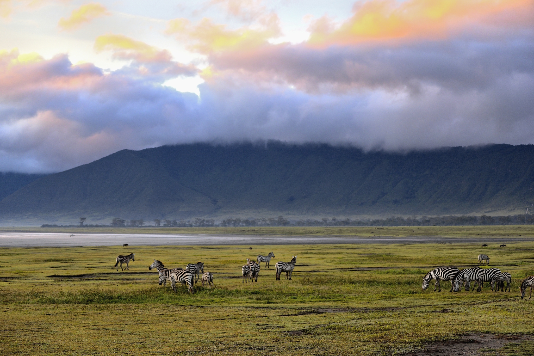 Ngorongoro Crater