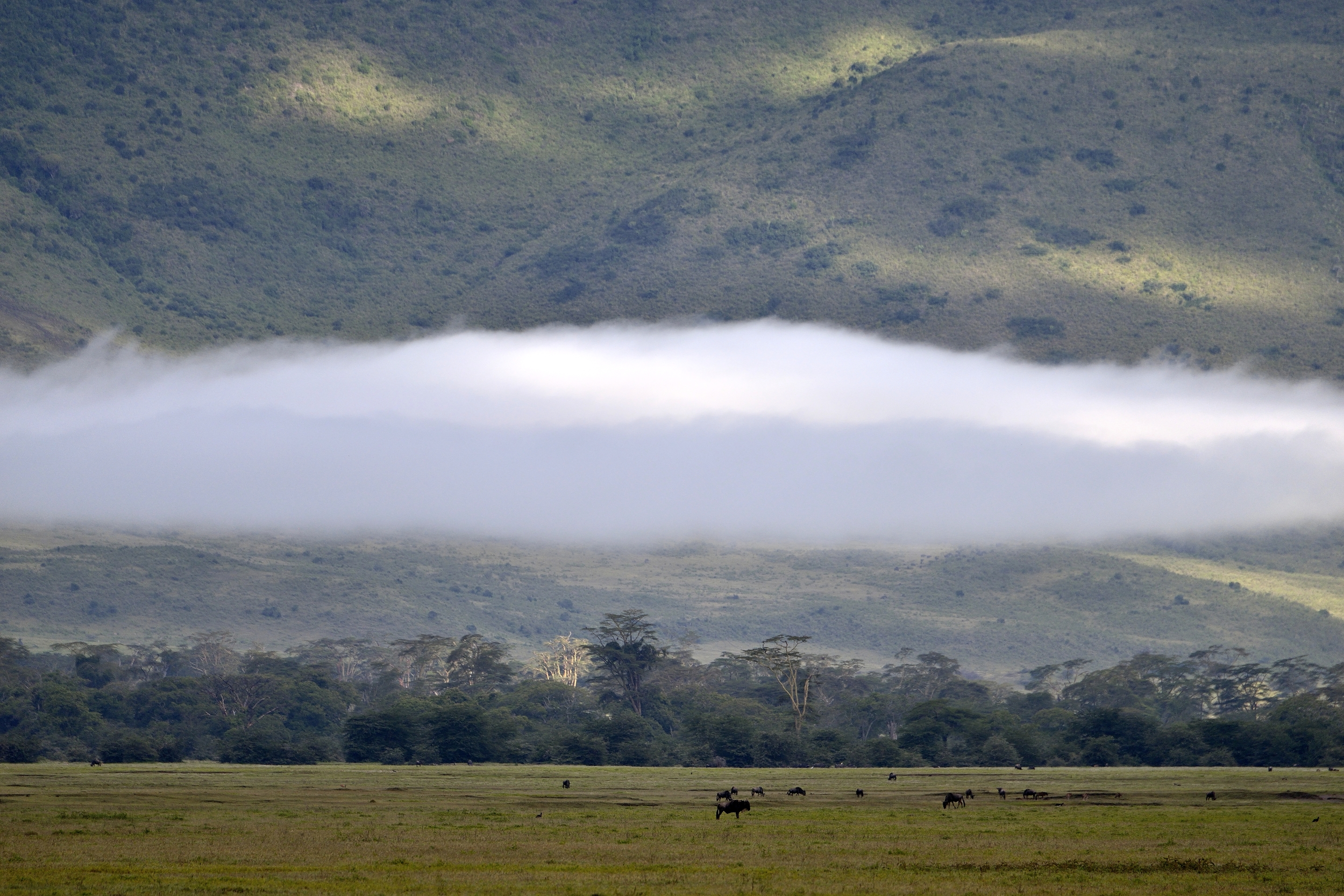 Ngorongoro Crater
