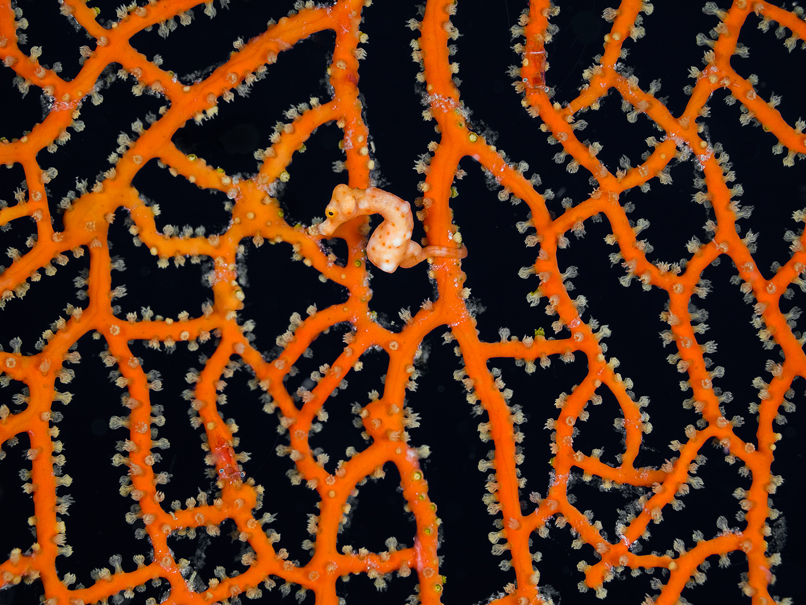 Denise and other friends ...