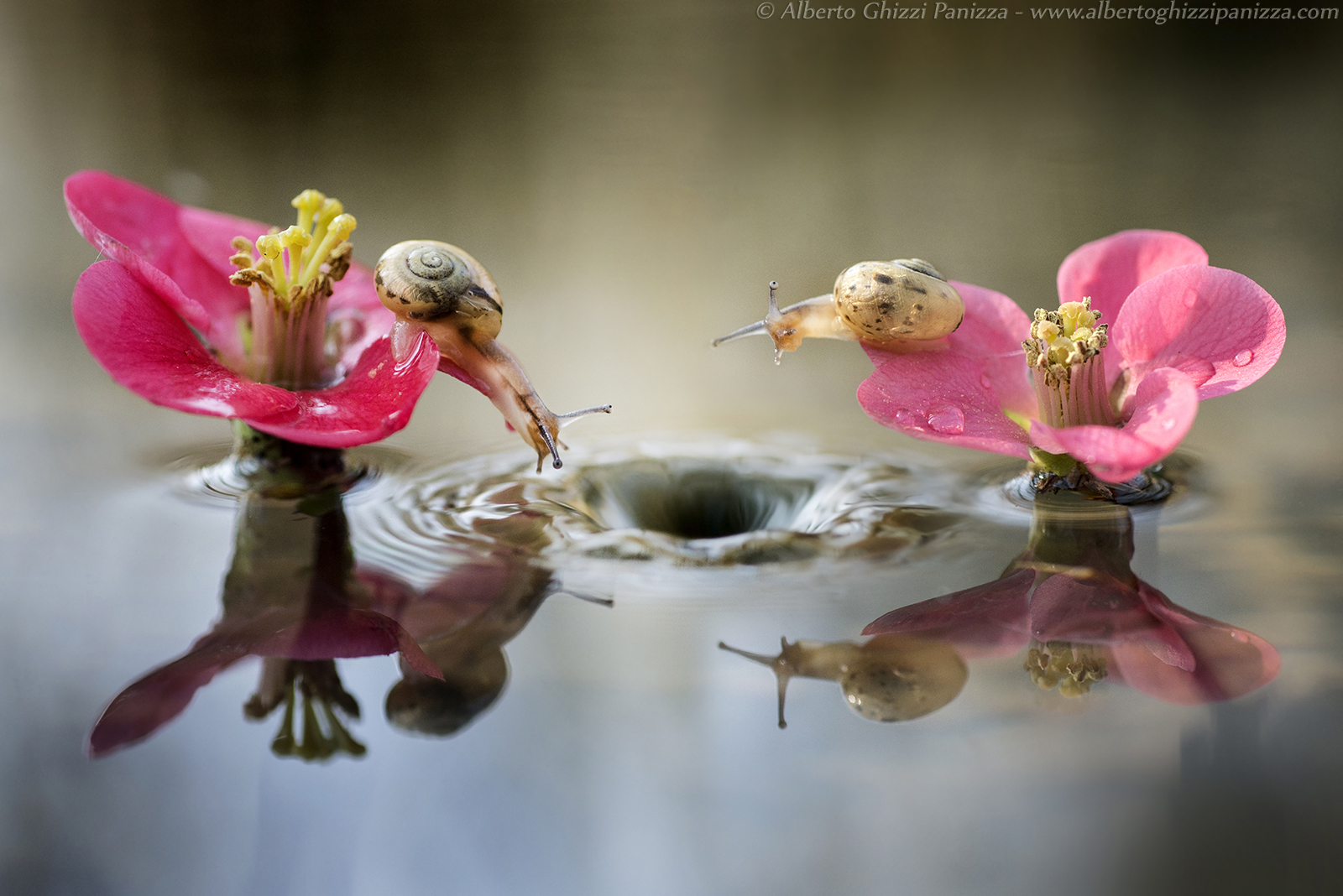 What do you believe in that hole?