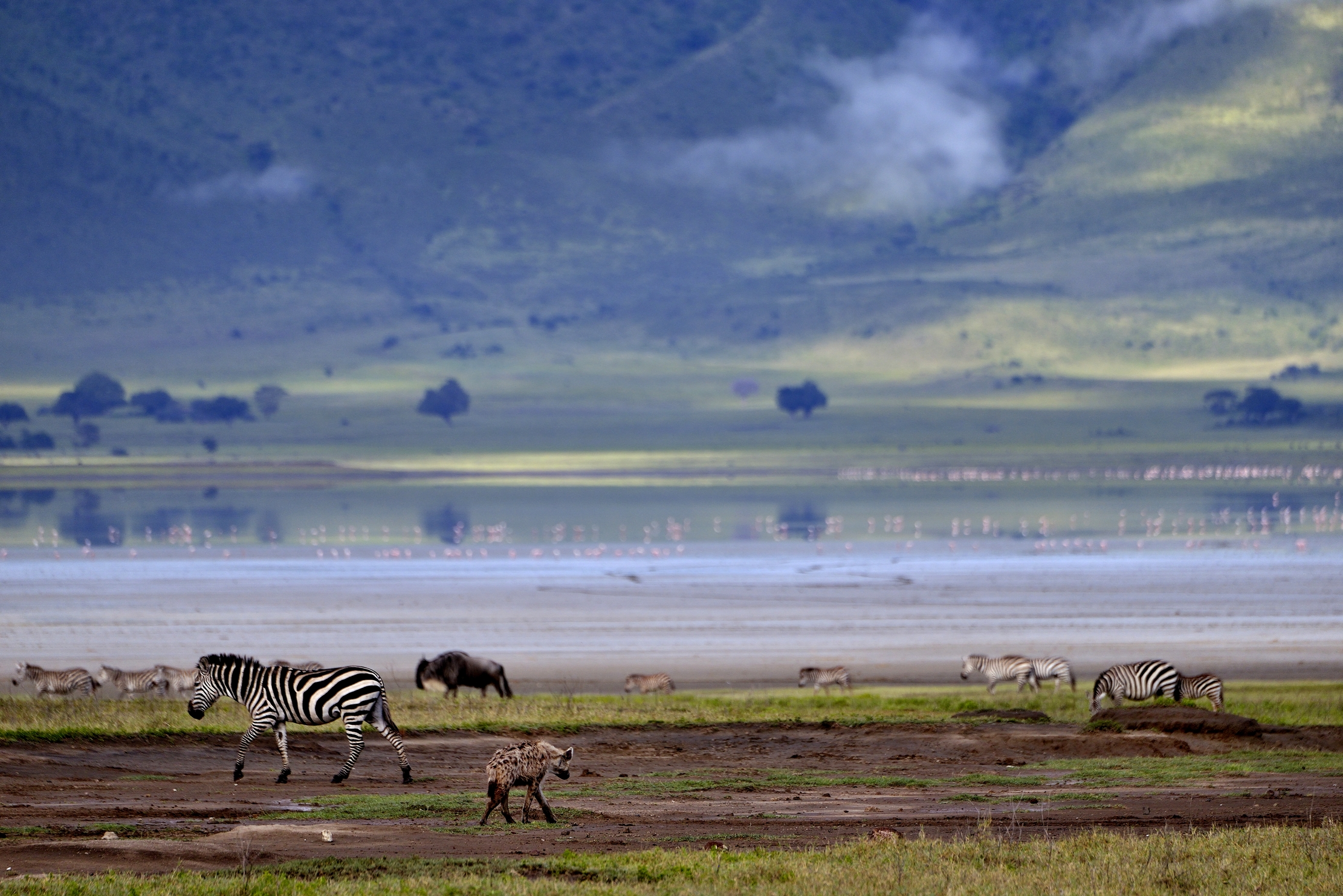 Ngorongoro Crater
