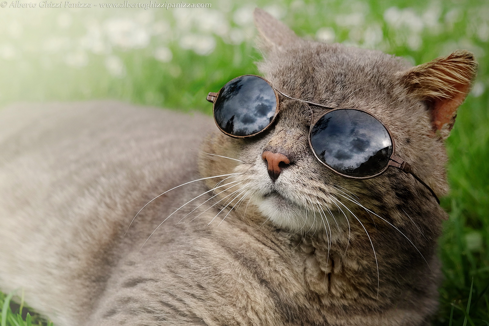 Ok sun ... Let's rock!