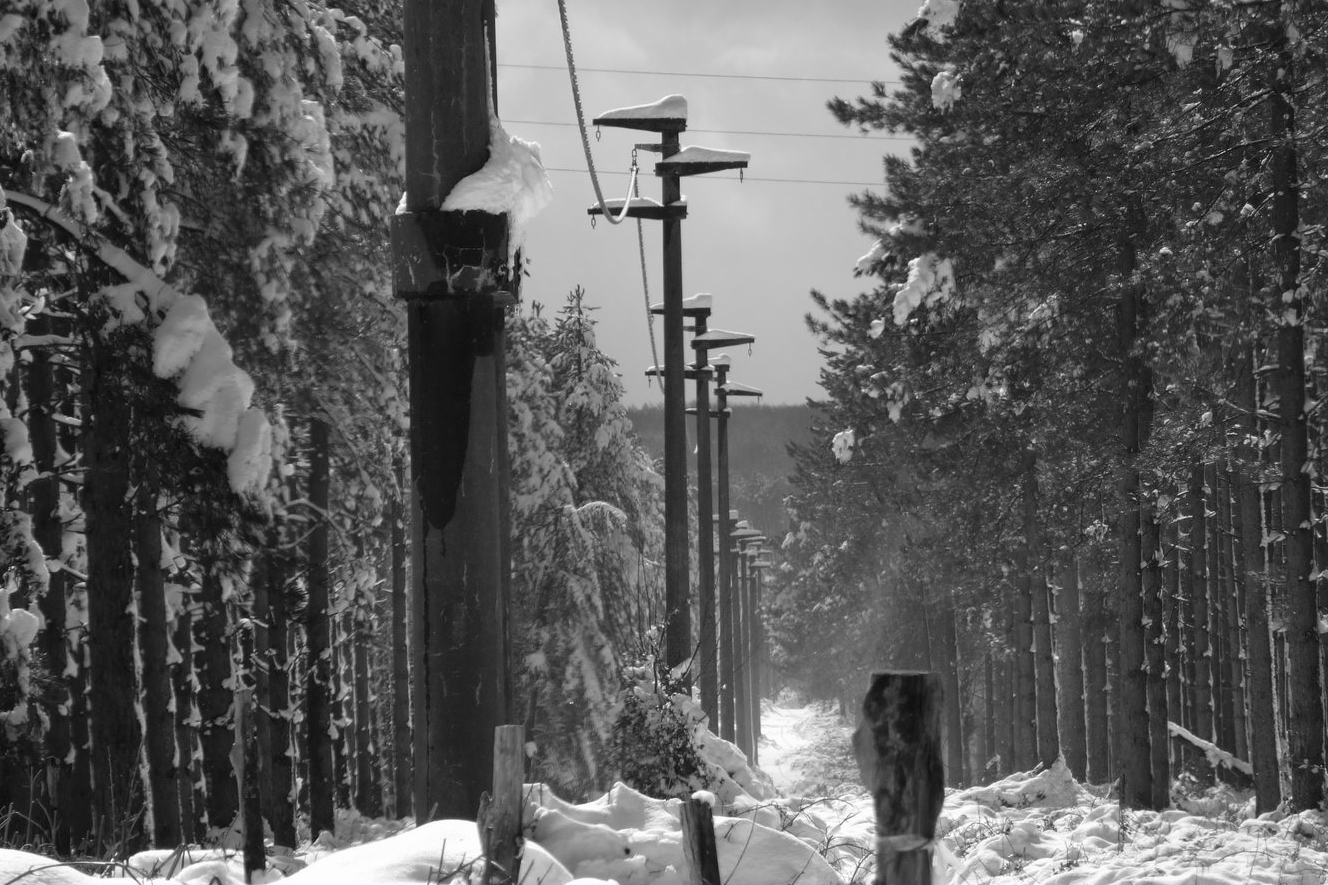 Senza titolo  -  Fuji 6500fd