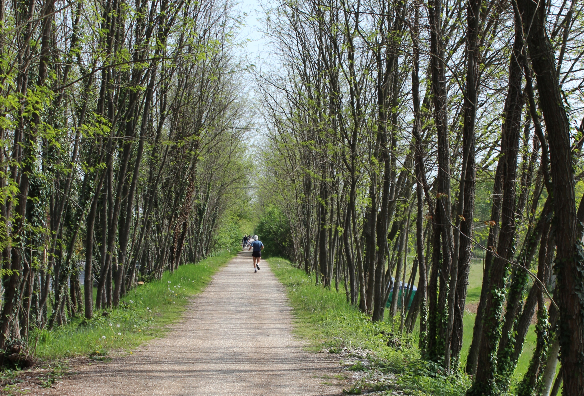...lungo la Treviso-Ostiglia