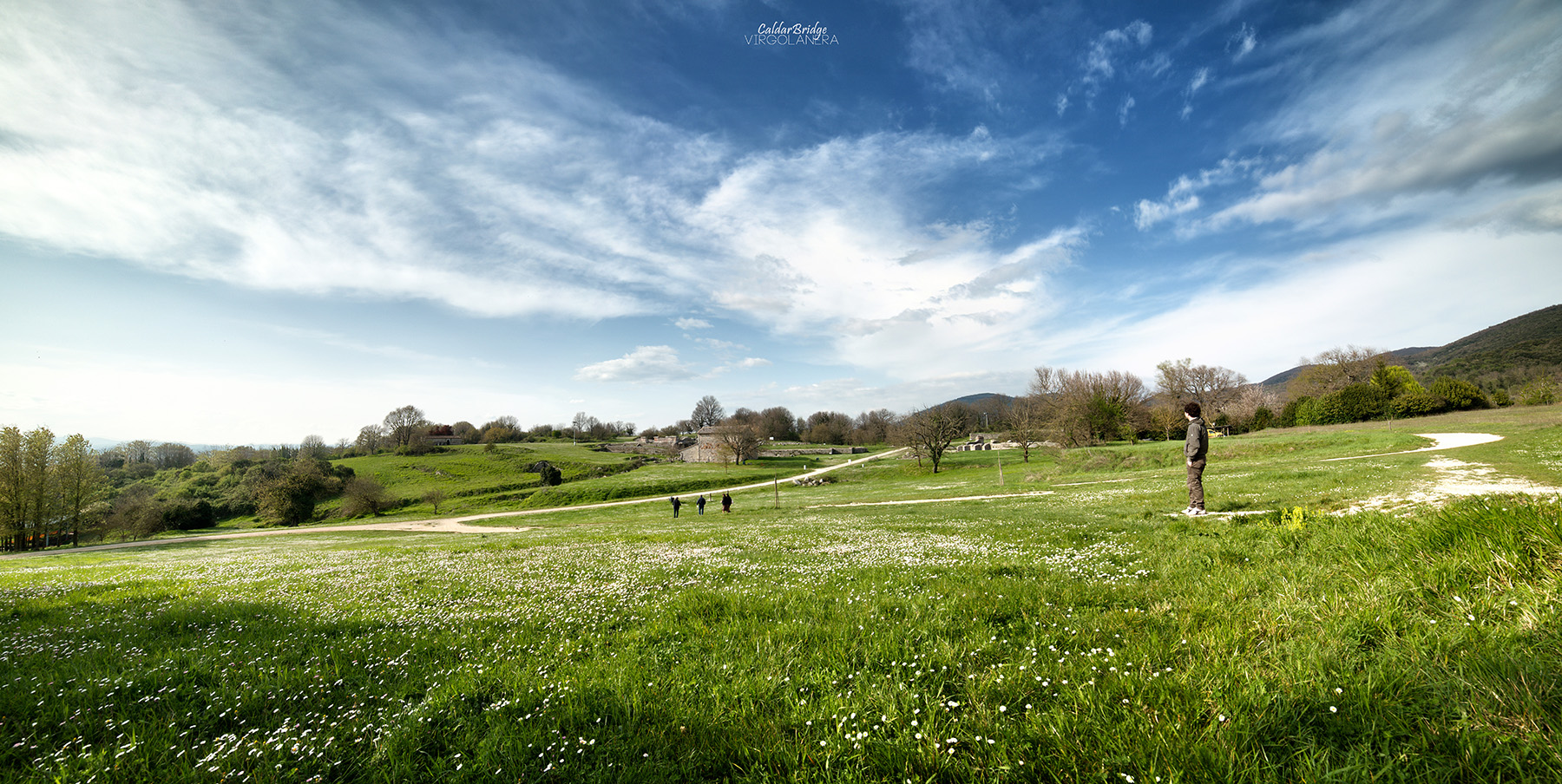 Carssulae, the input