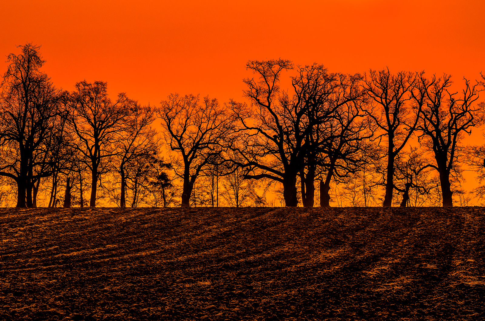 Early morning in winter