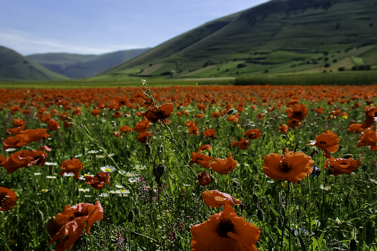 Castelluccio di Norcia