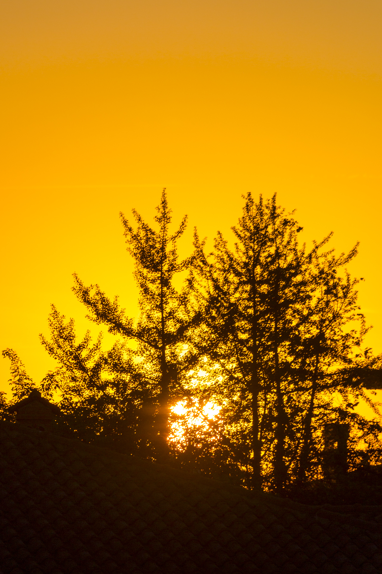 -sunset- Aprile 2014