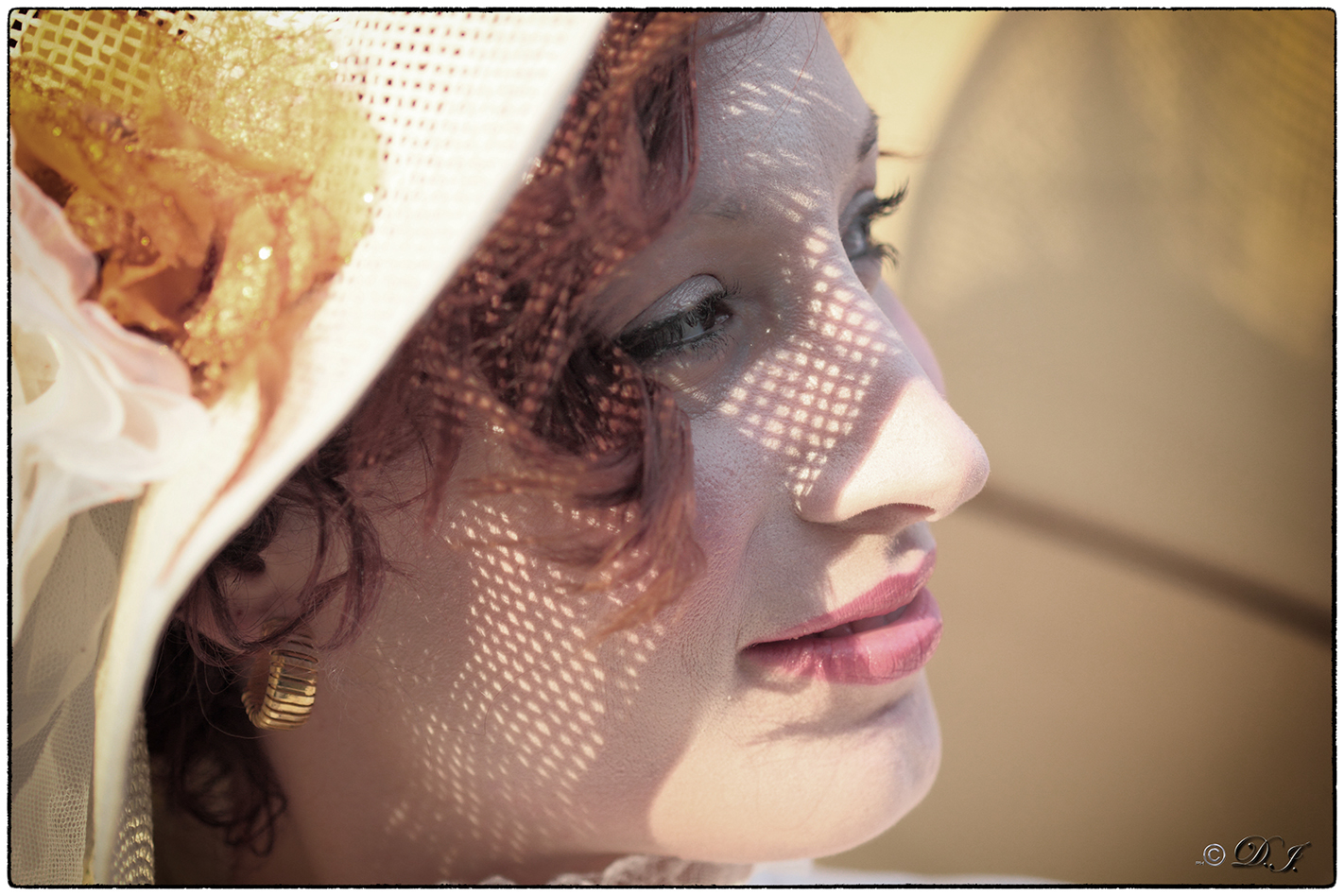 Magico Carnevale 2014 S. Felice s/p