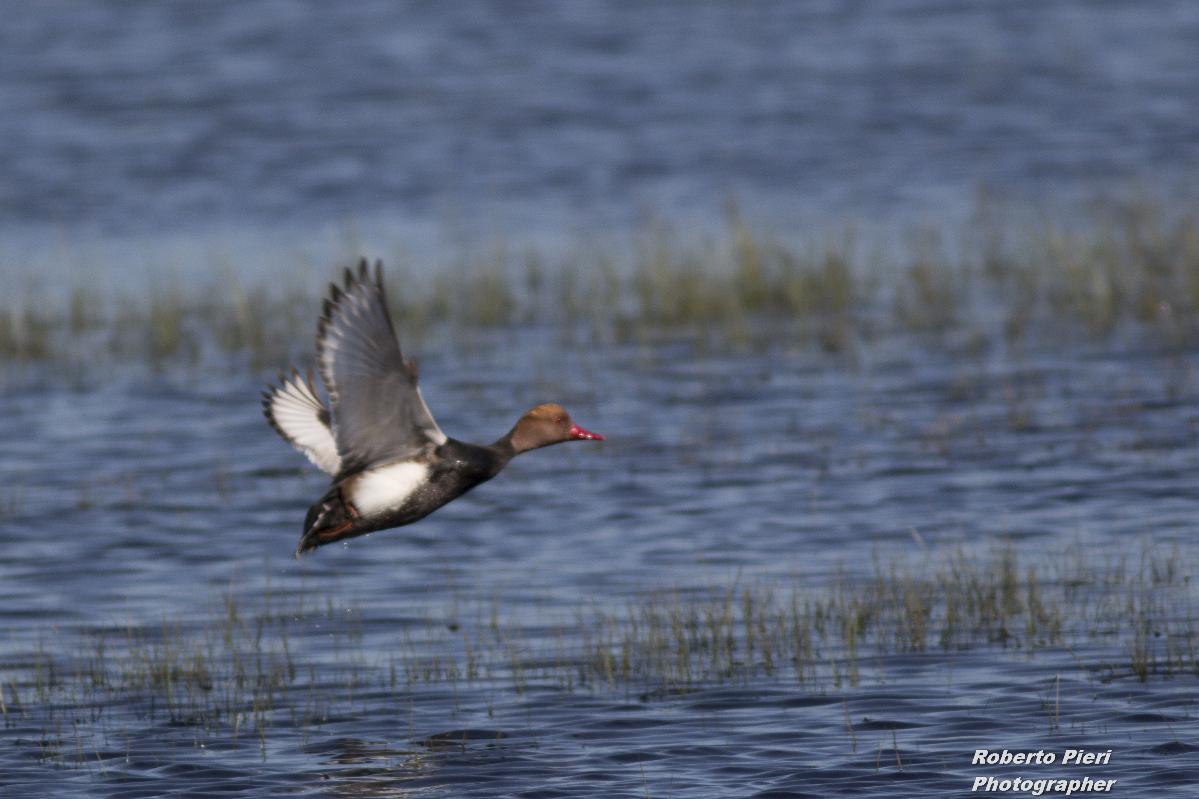 detaching the flight