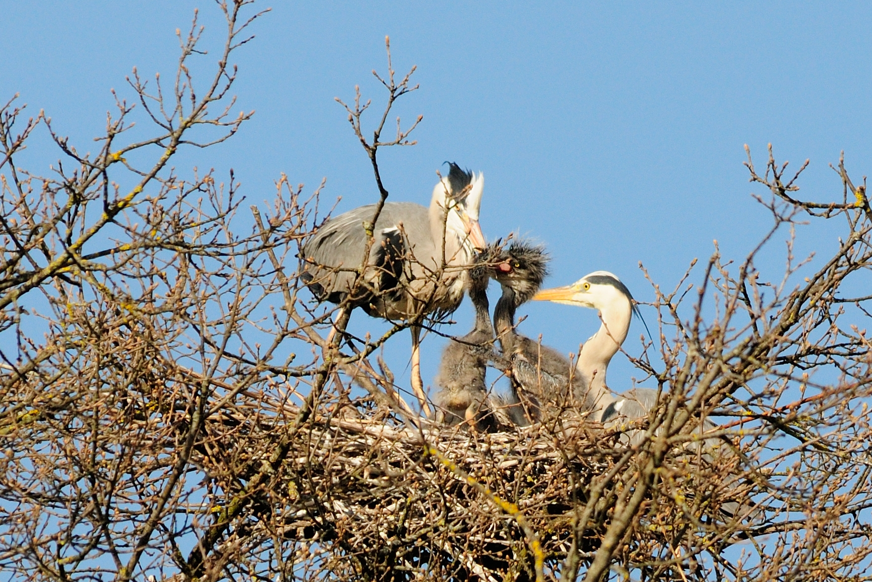 Quadretto di famiglia