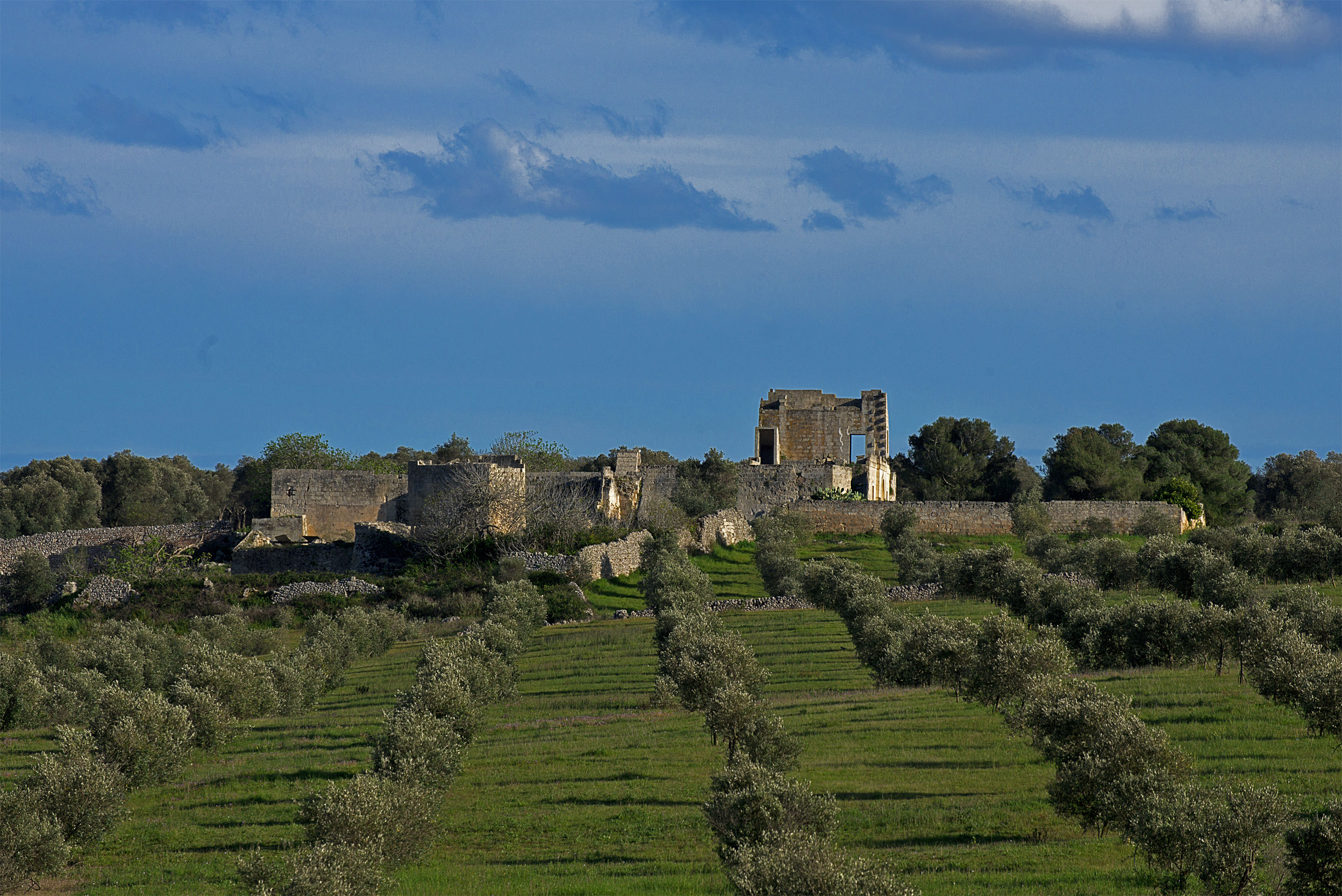 Masseria diroccata        Paesaggio