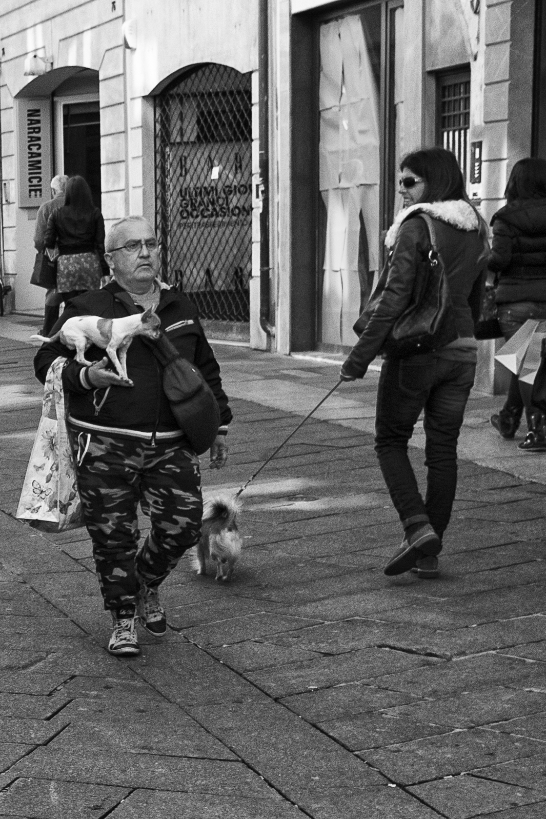 Un modo alternativo di portare a spasso il cane