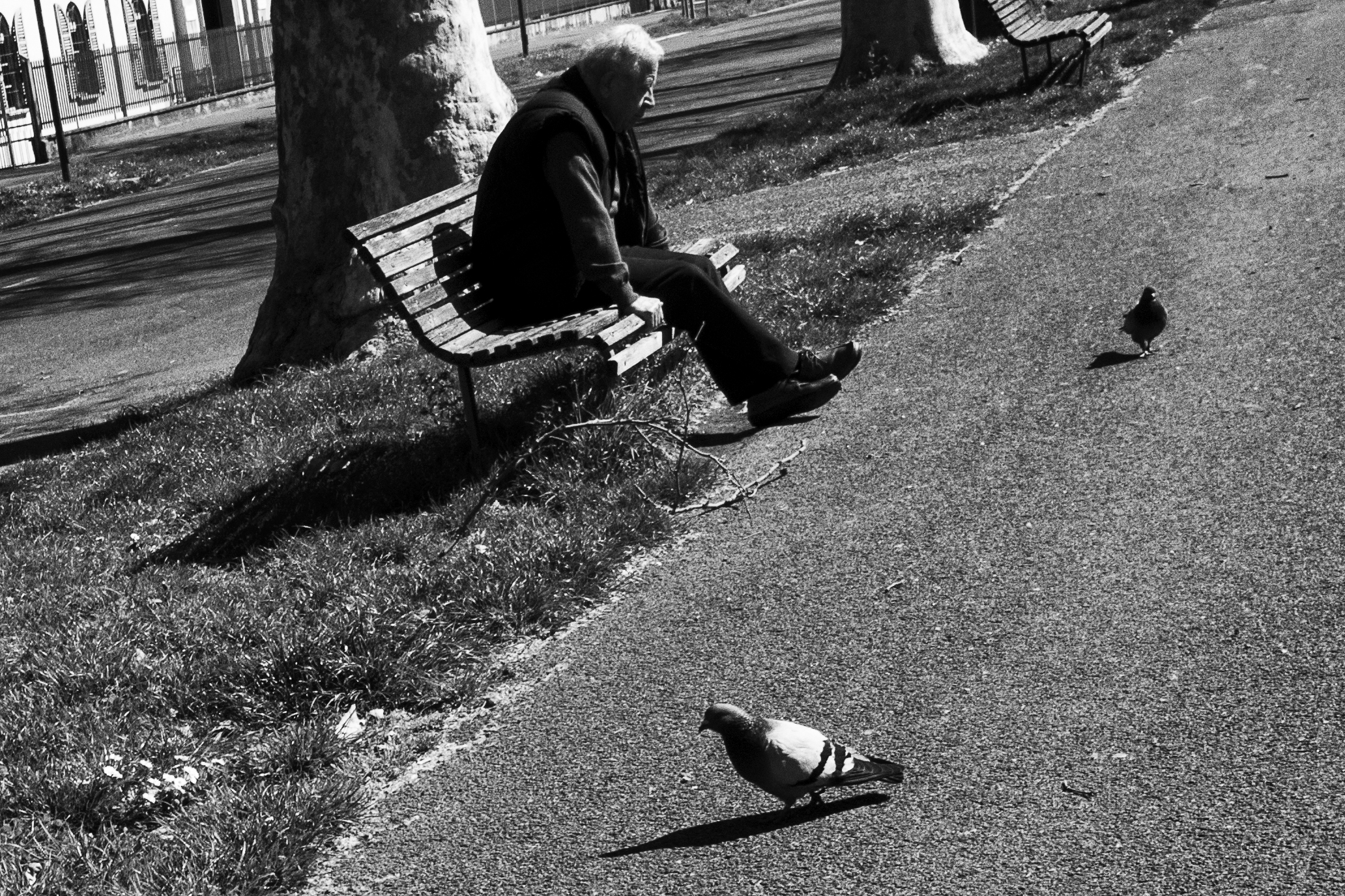 Pensieri in diagonale