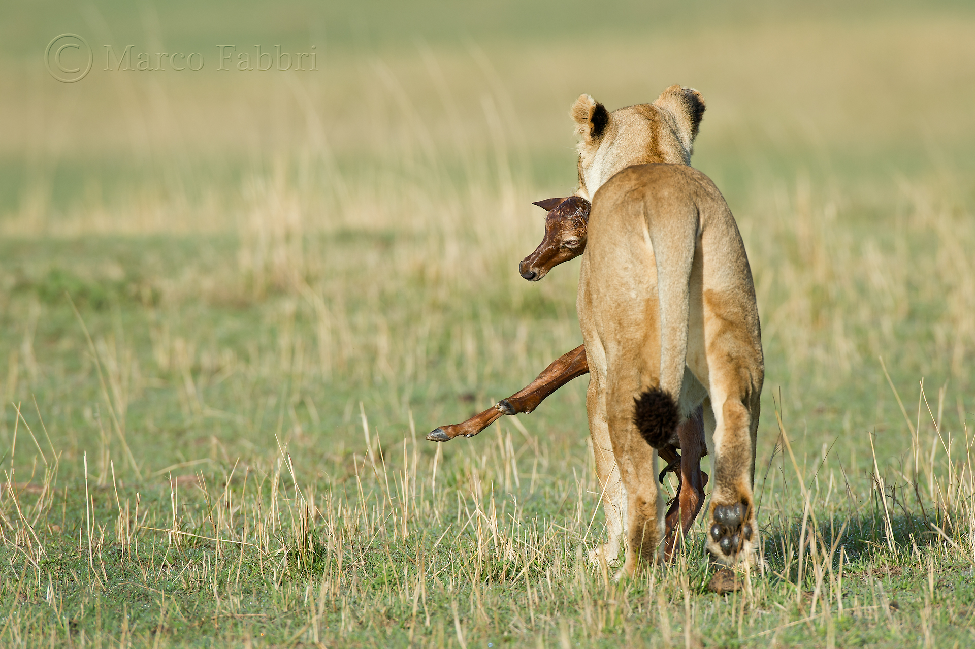 The beginning of the end