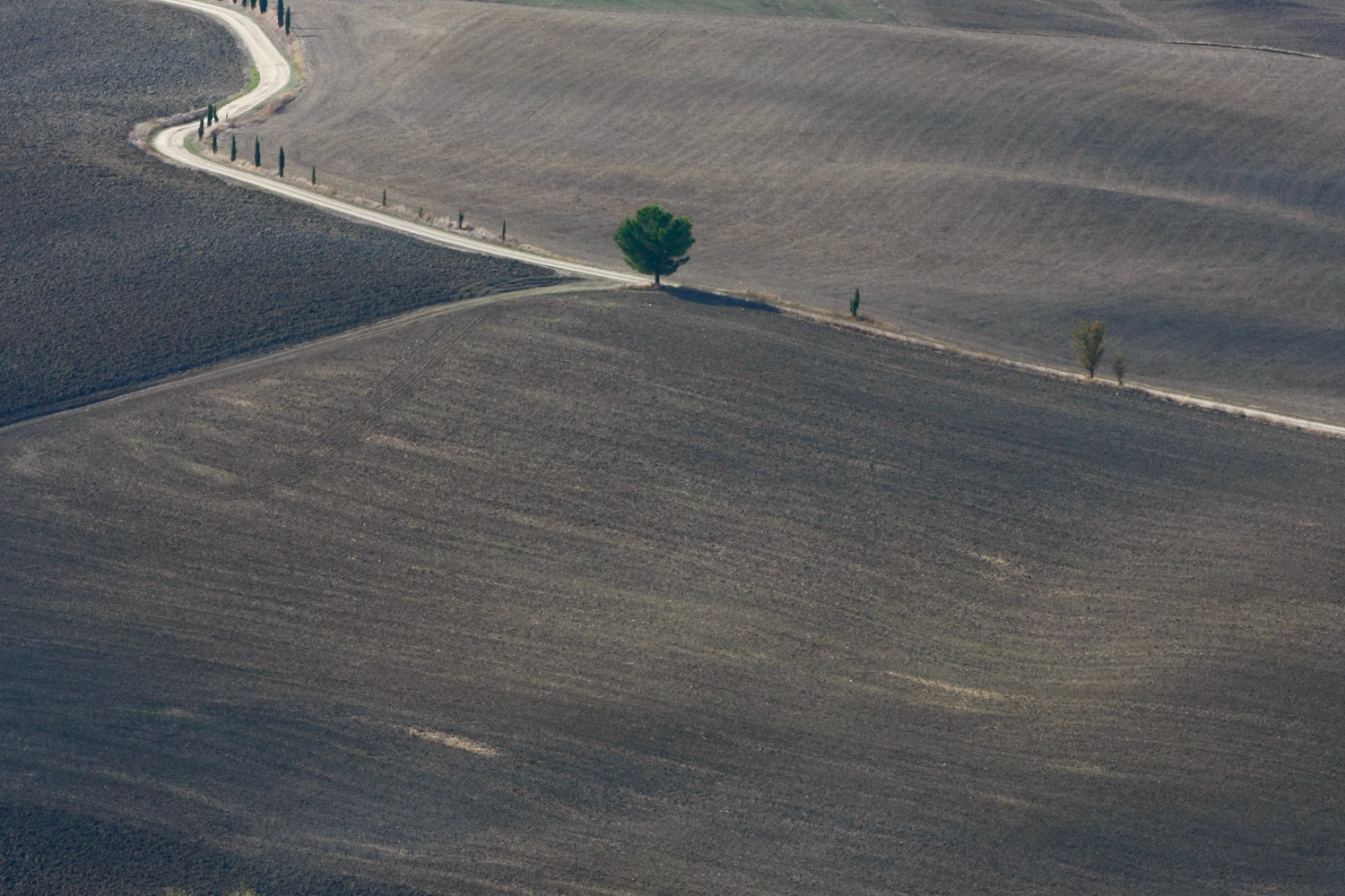 Frammenti campagna Toscana