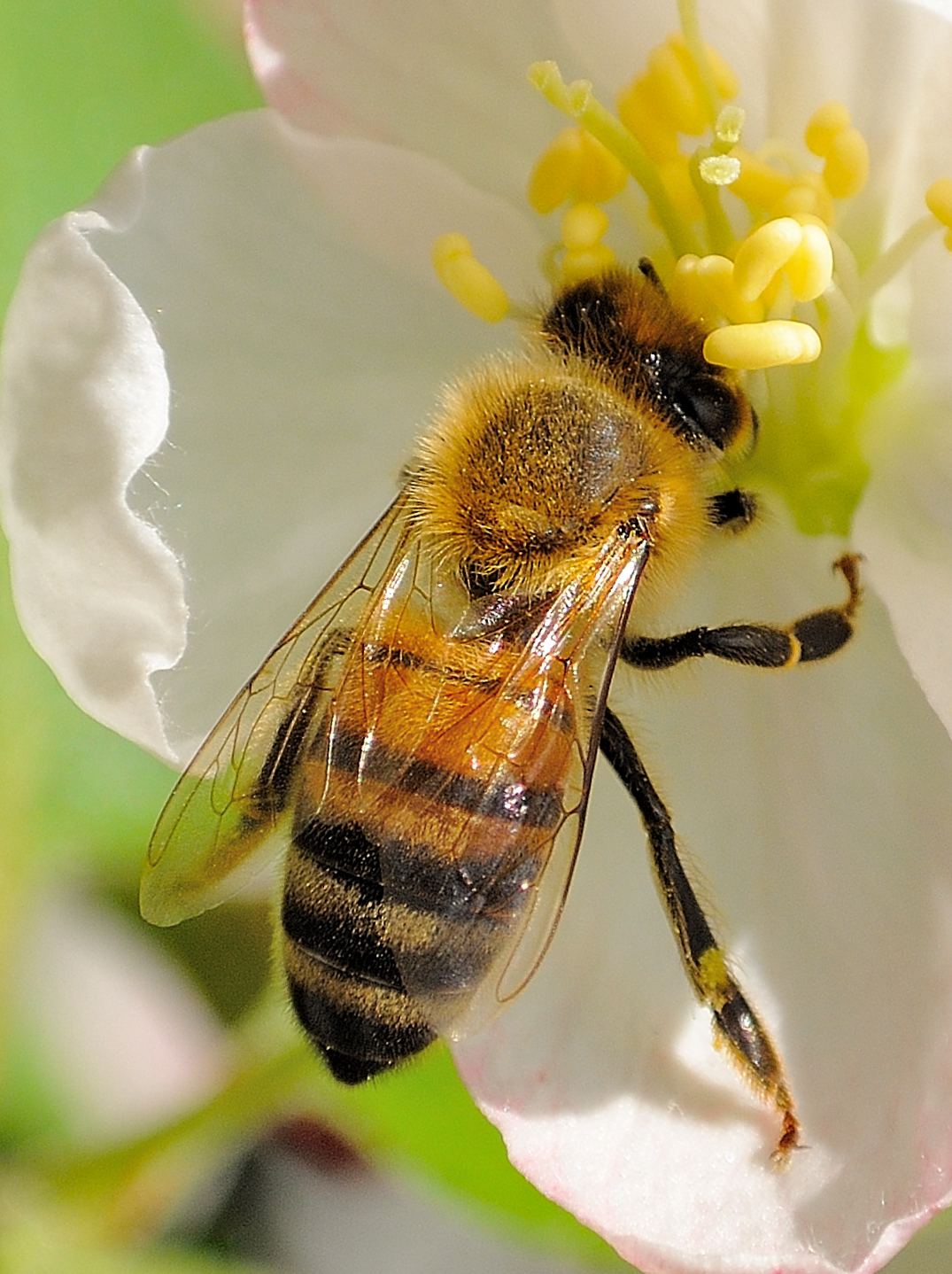 Workers at work II remake