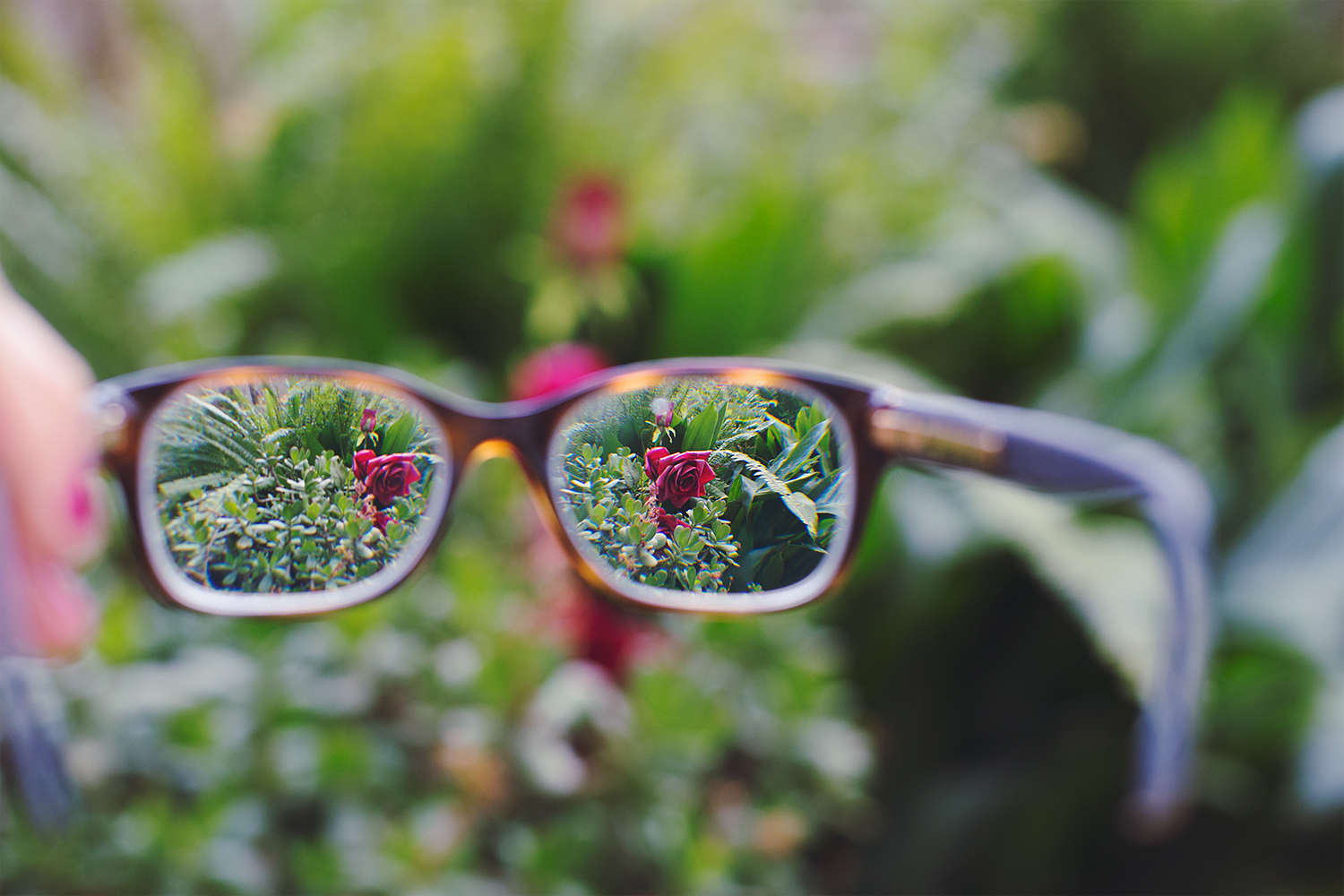 The world into my eyes, and not into my glasses.