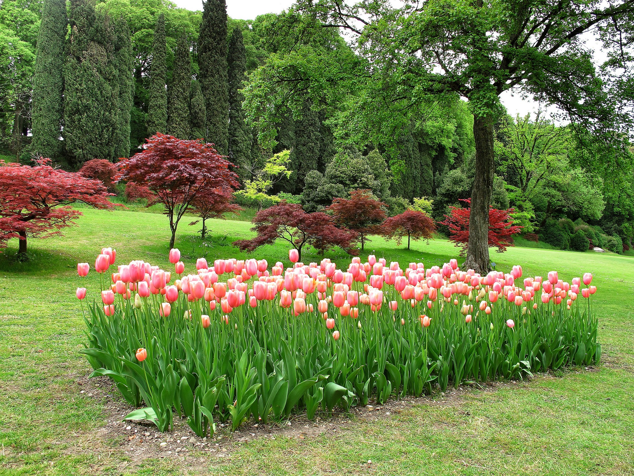 Sigurtà .....il parco...