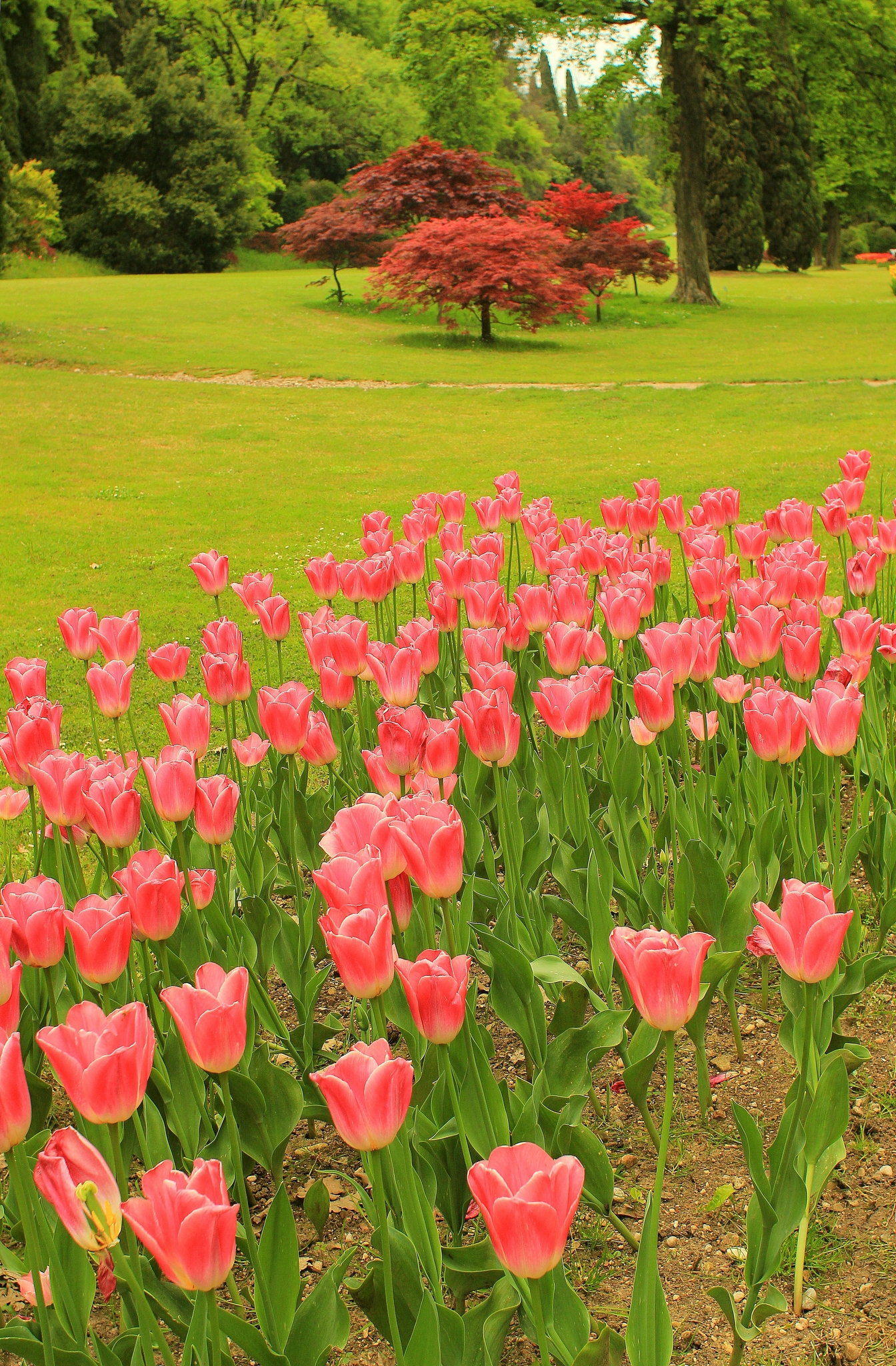 The park sigurtà ....