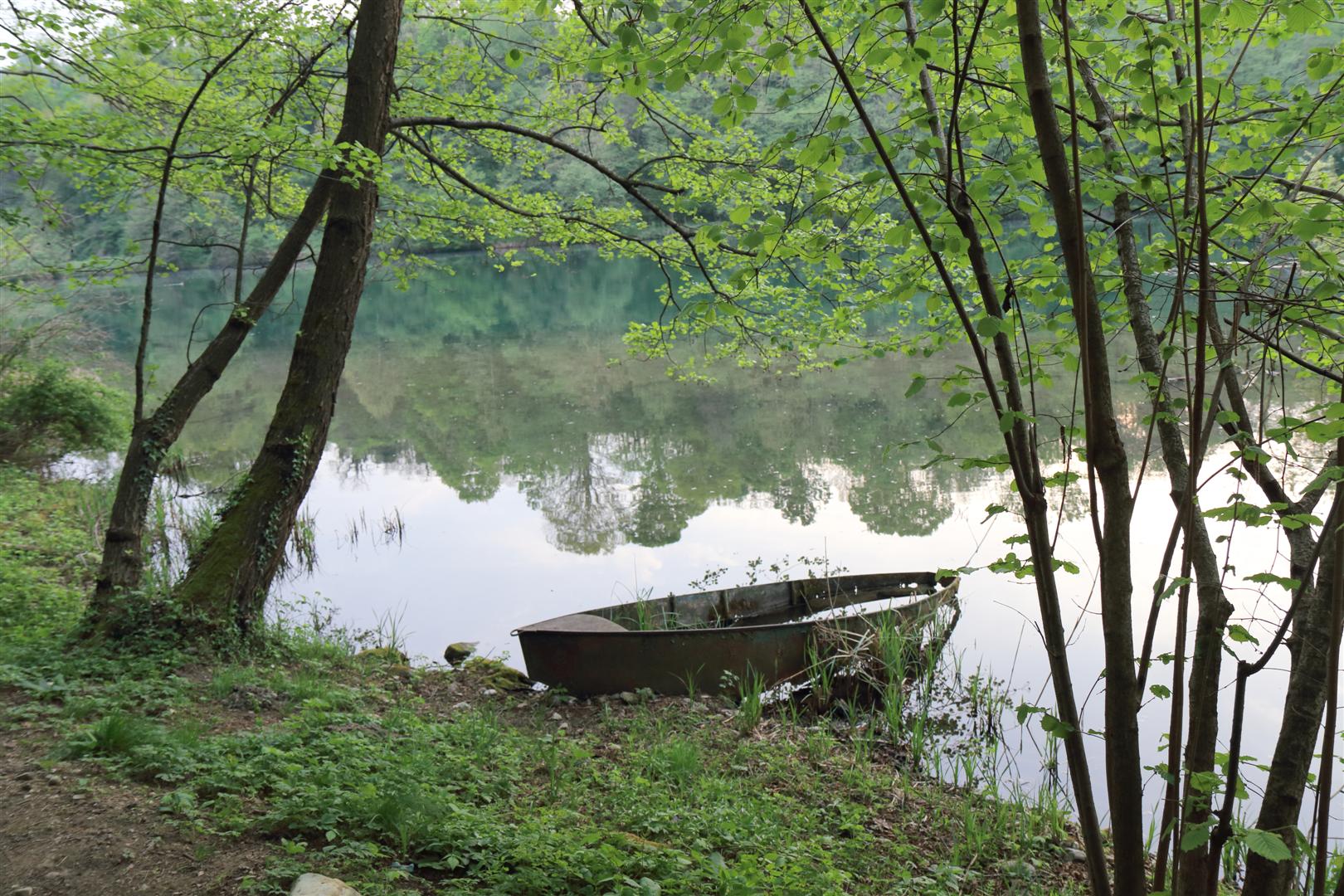 The nature always wins