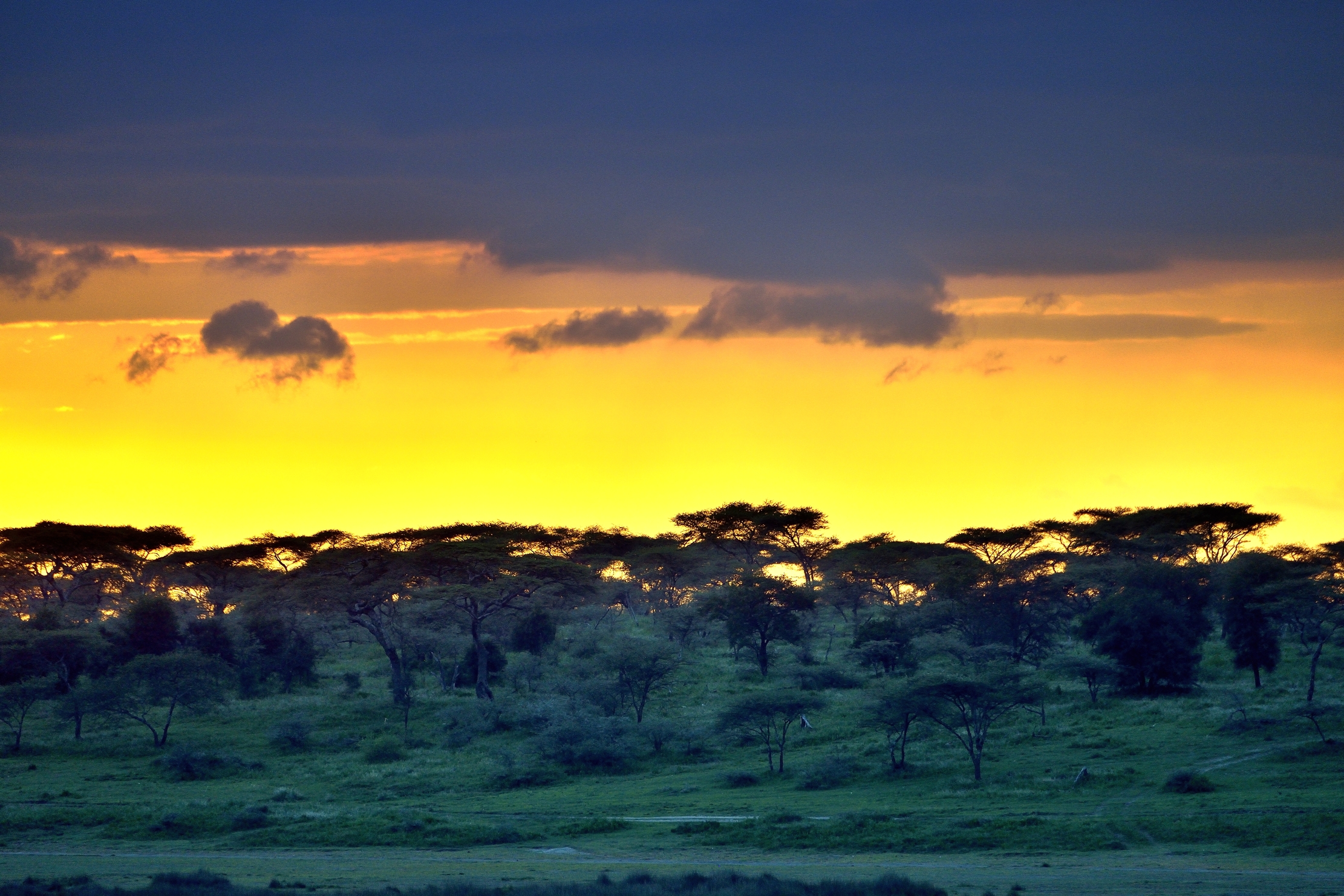Ngorongoro Conservation Area - Tramonto