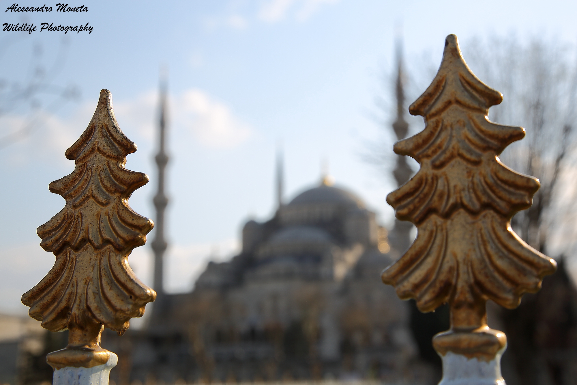 The Blue Mosque