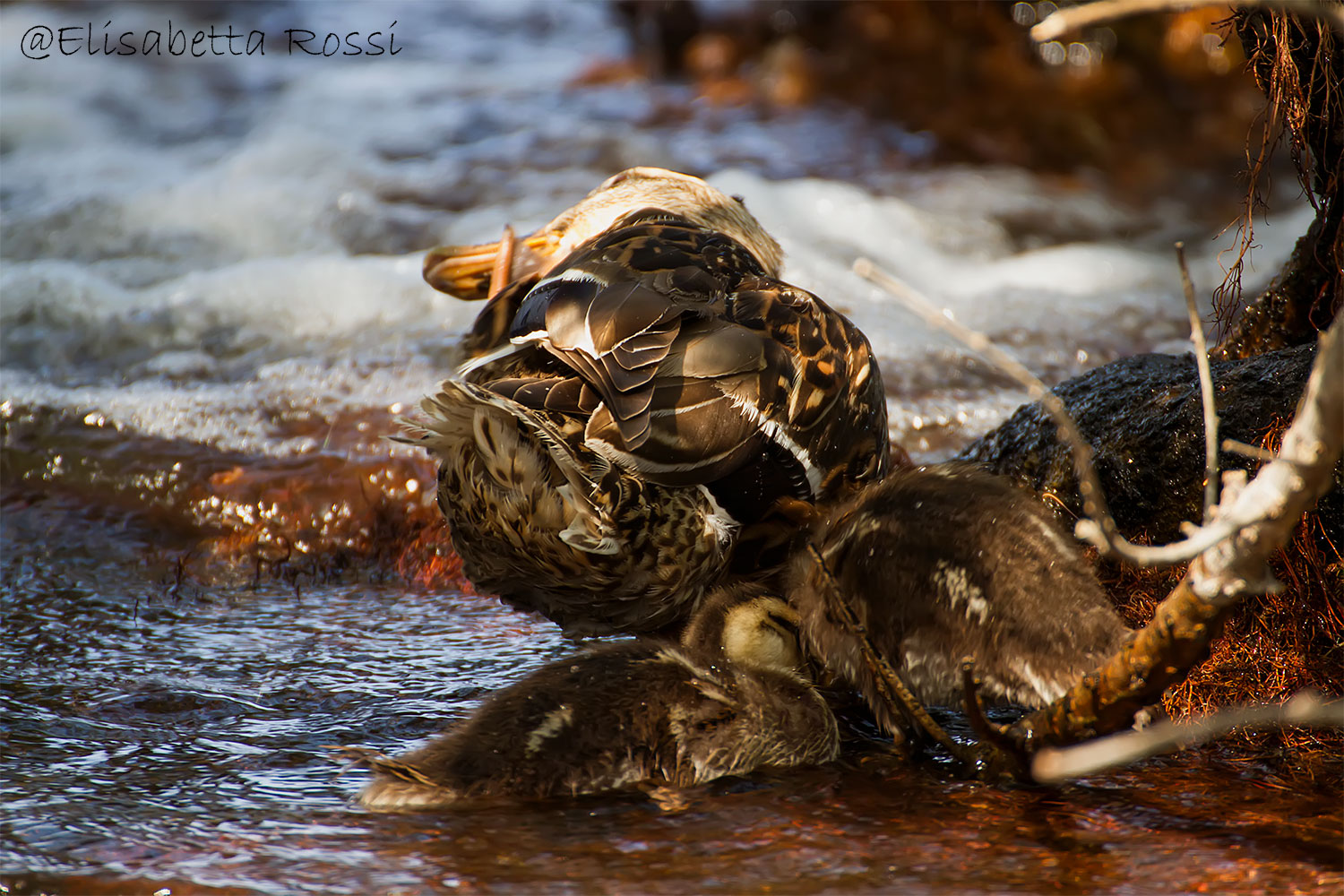 Bathtime