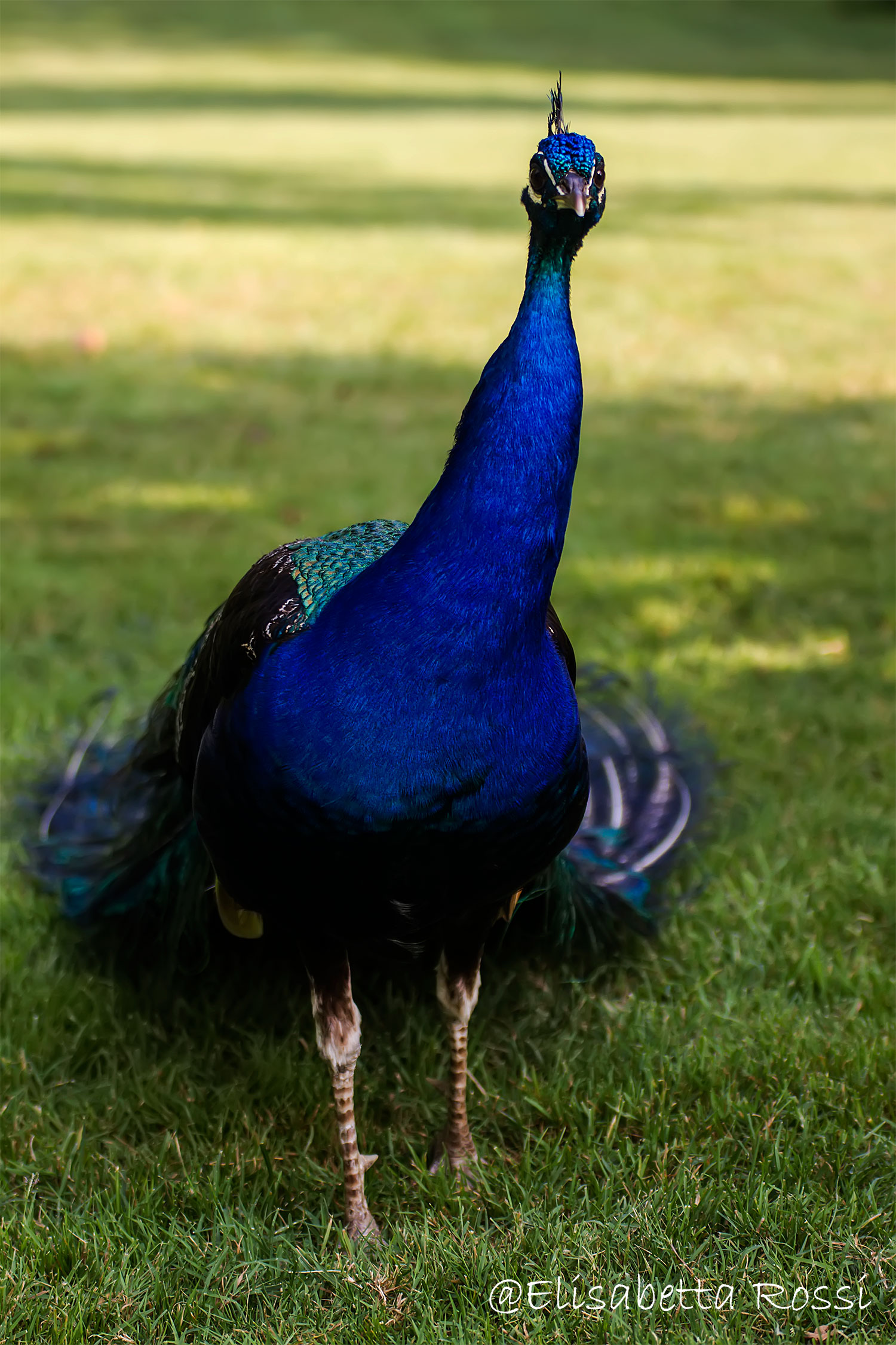 What are you looking at?