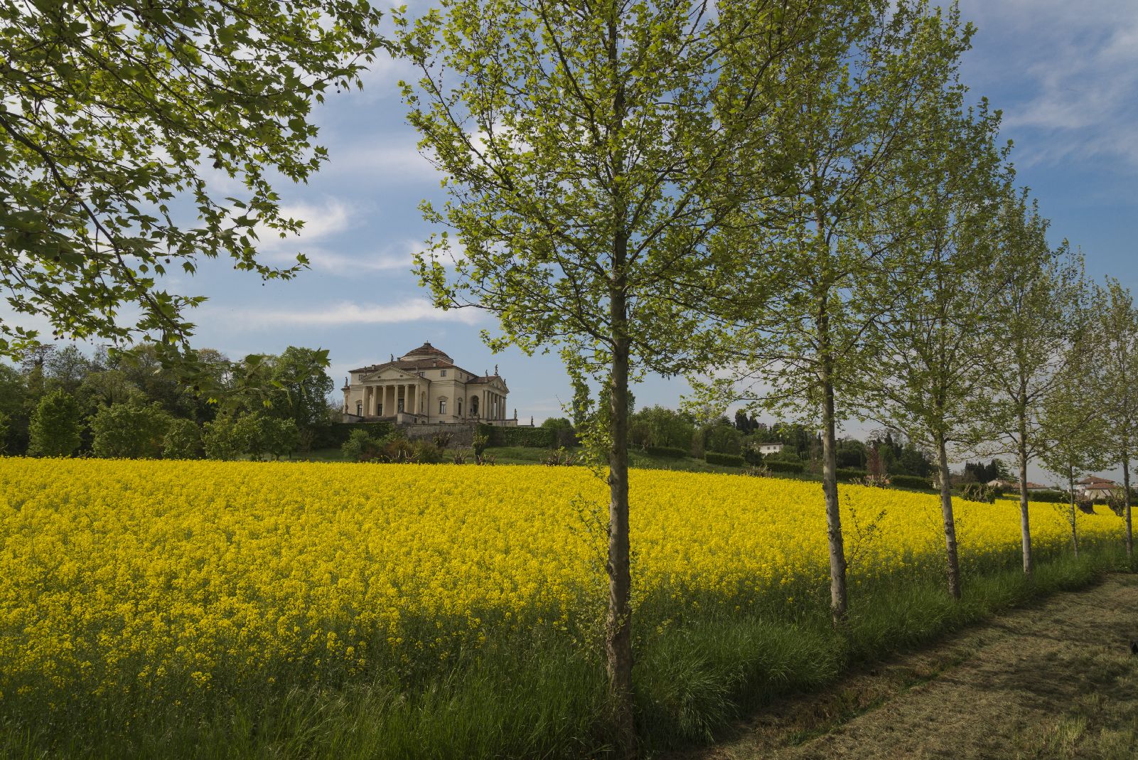 Villa la Rotonda in yellow