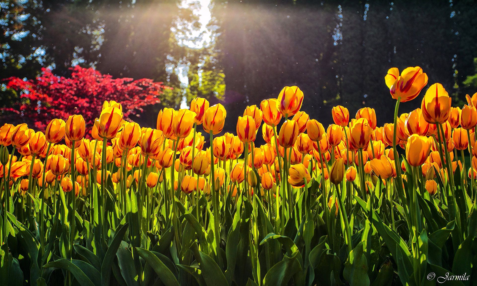 With an eye toward the sun