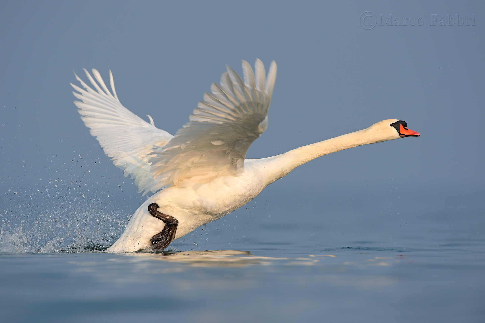 Walking on the water