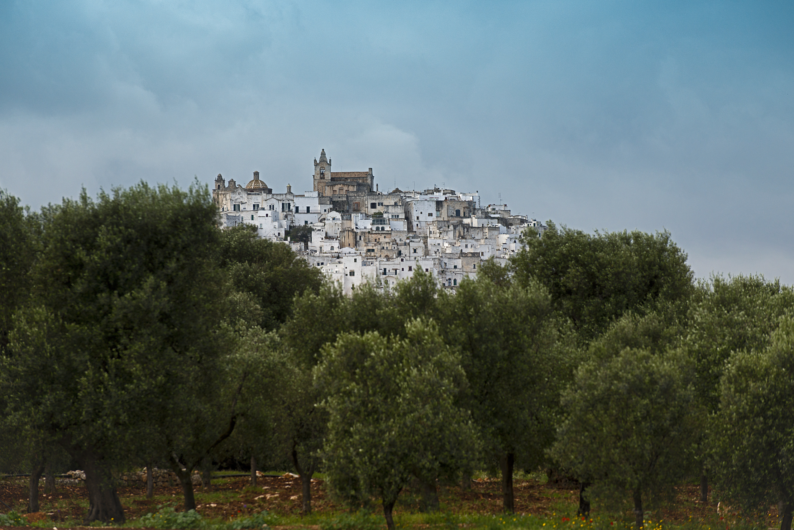 Landscape view of Ostuni